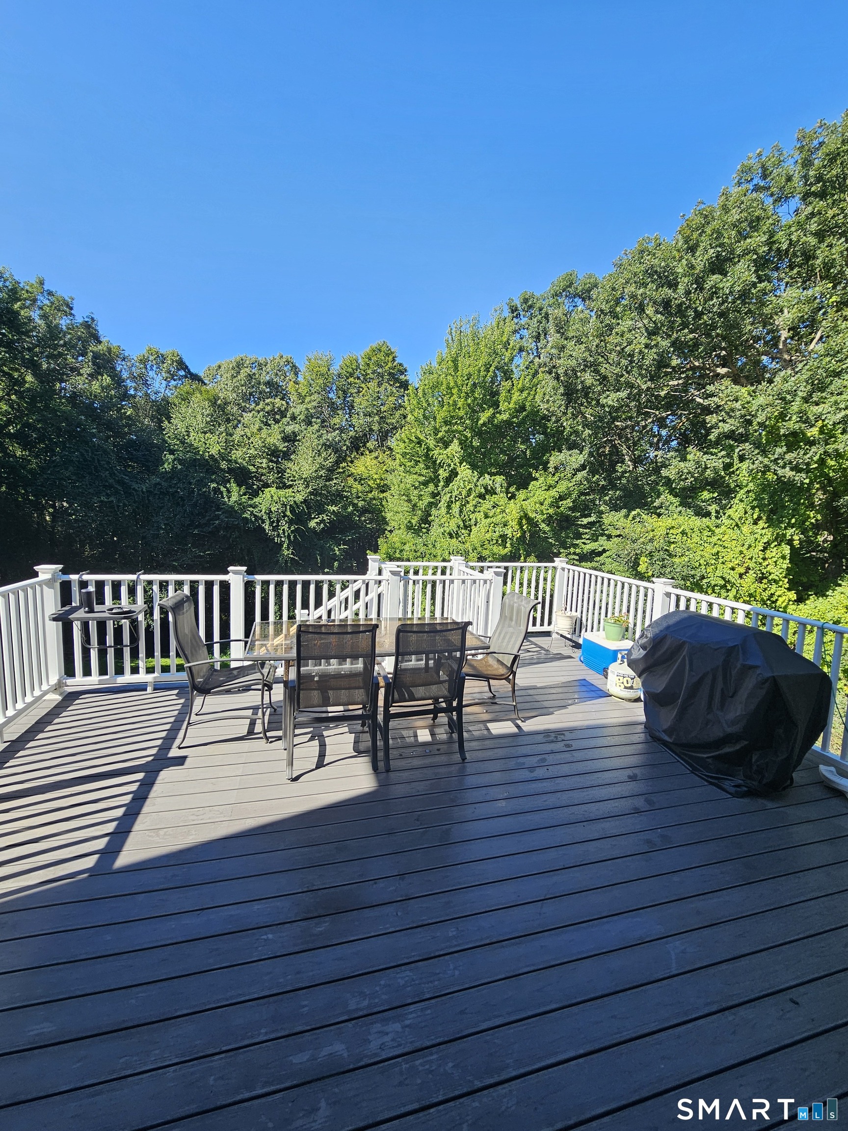 18 Tree Top Lane photo 26