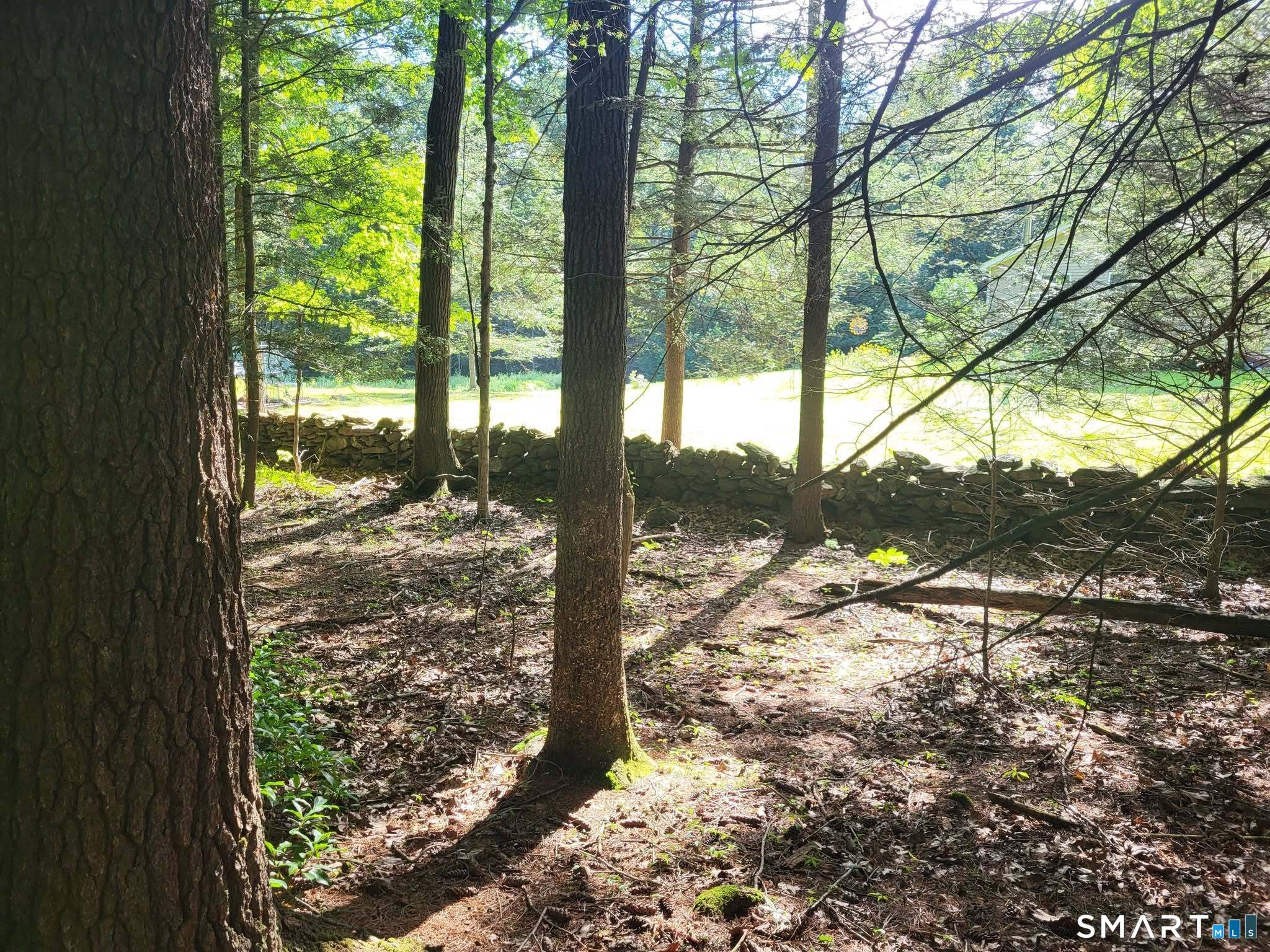 Photo 4 of Single family home for sale at 8-2 Tayler Trl, Woodstock, CT 06281 | MLS# 24203840 | Listing updated on 2026-09-17