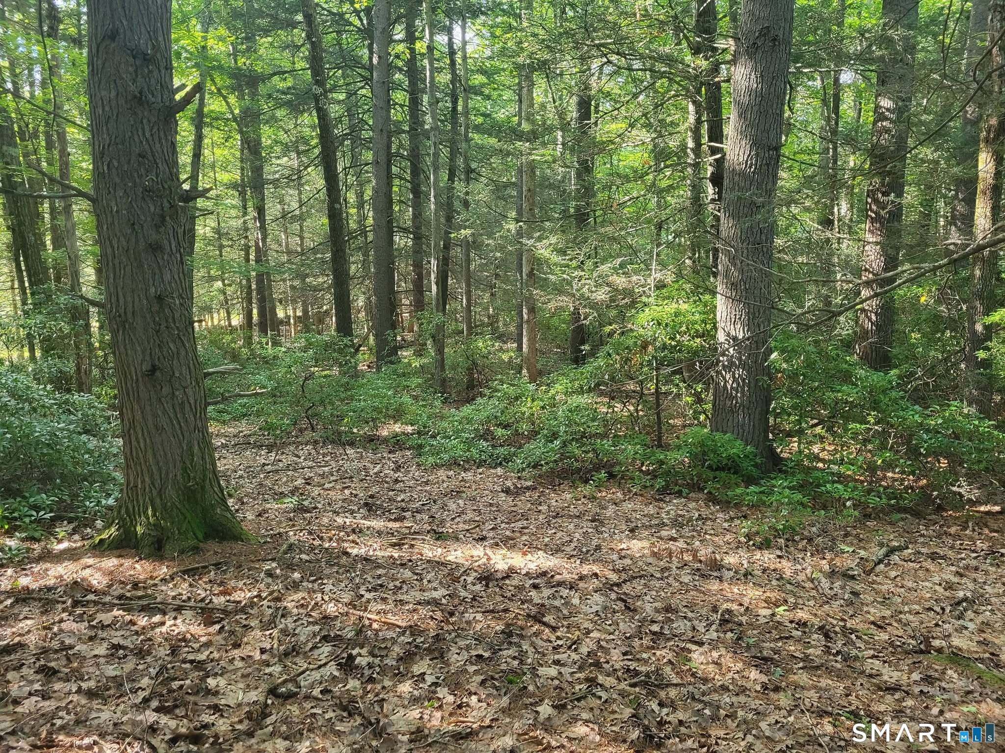 Photo 3 of Single family home for sale at 8-2 Tayler Trl, Woodstock, CT 06281 | MLS# 24203840 | Listing updated on 2026-09-17