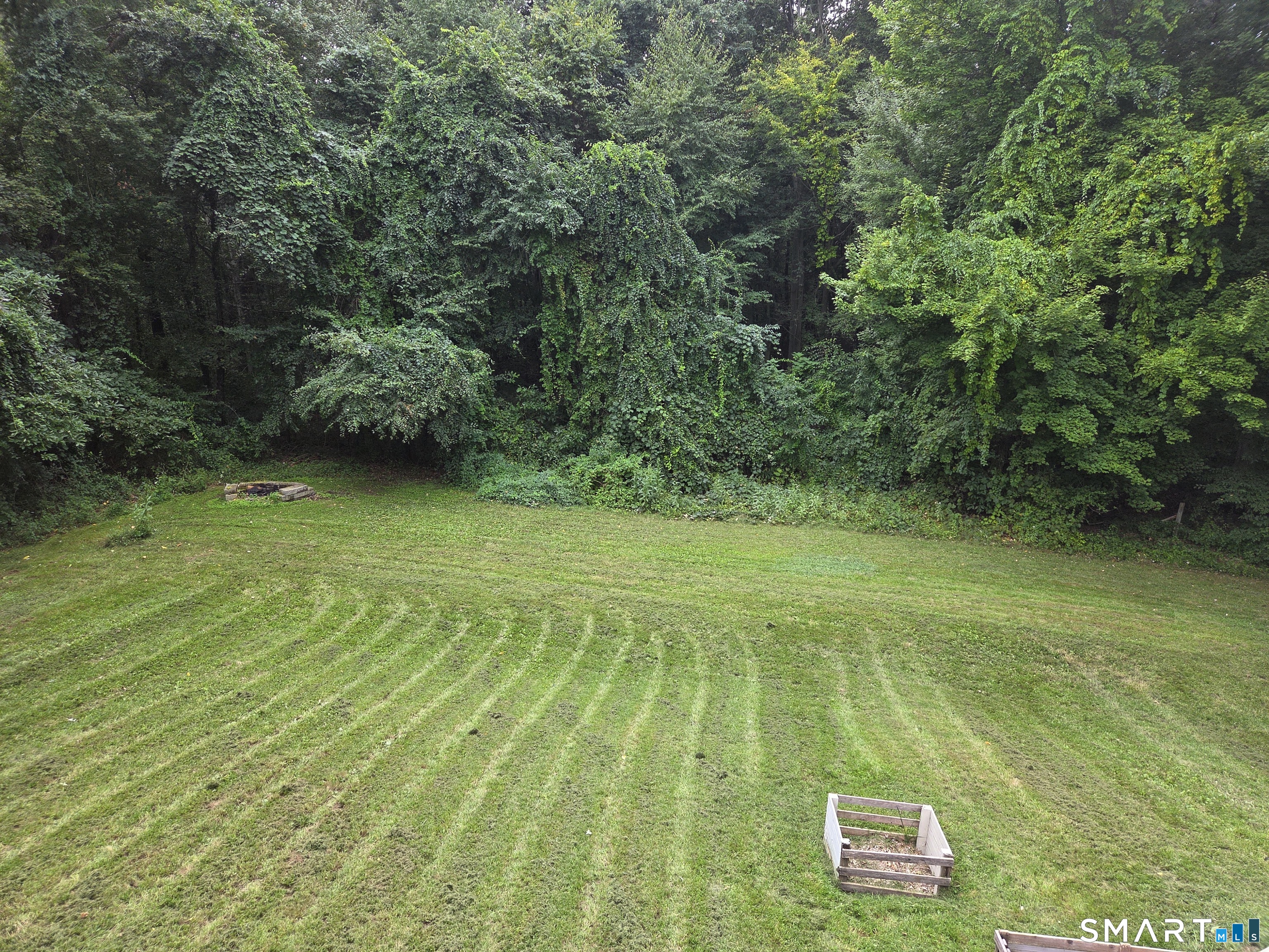 18 Tree Top Lane photo 33