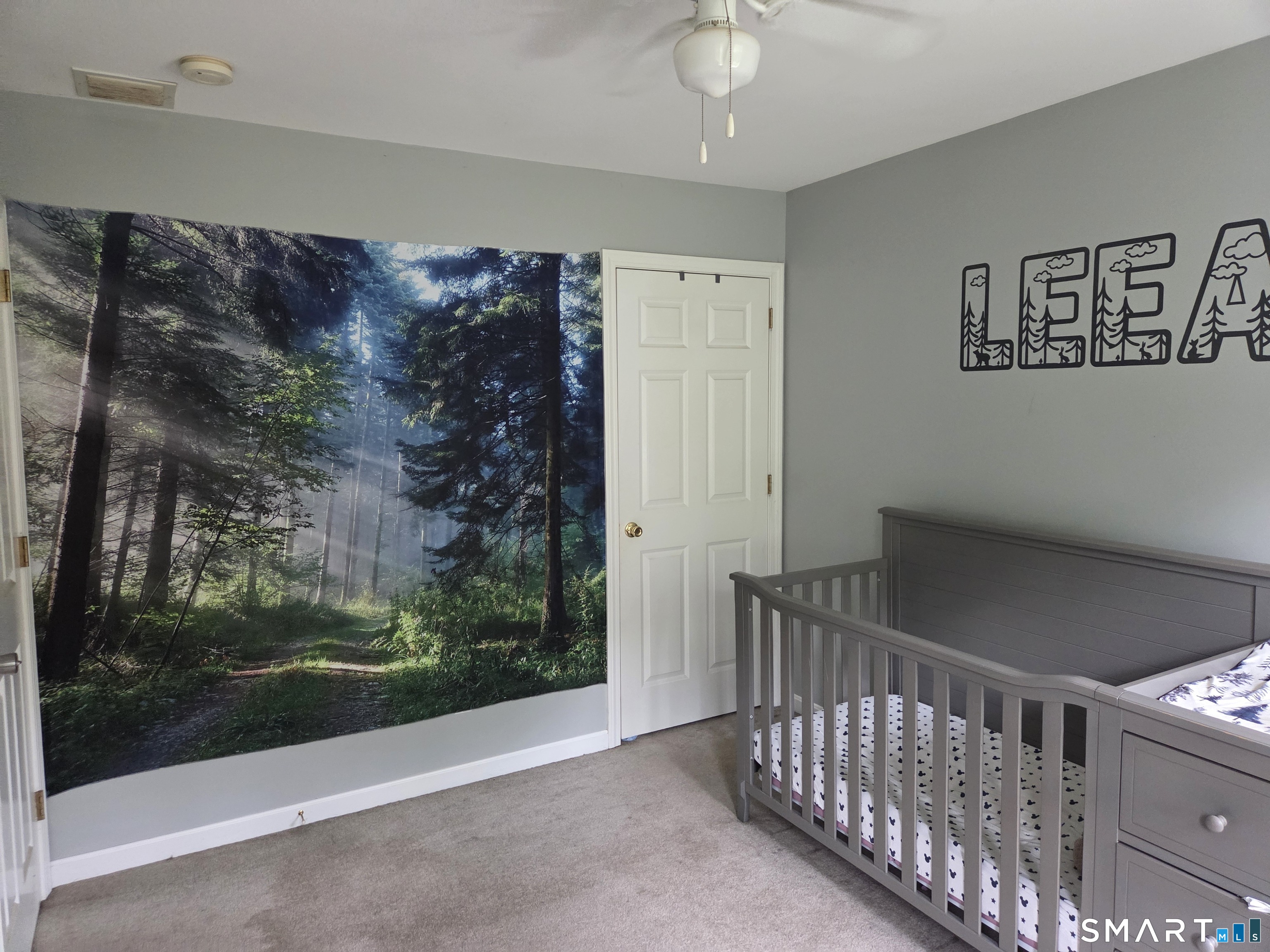 18 Tree Top Lane photo 20