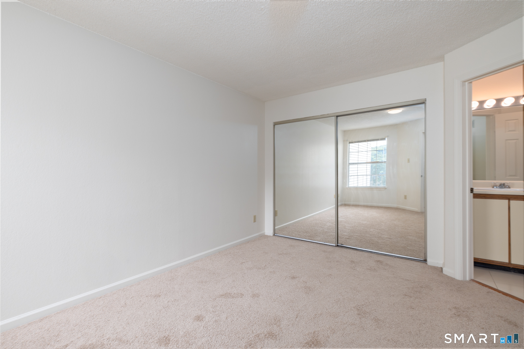 316 Carriage Crossing Lane Unit #316 photo 13