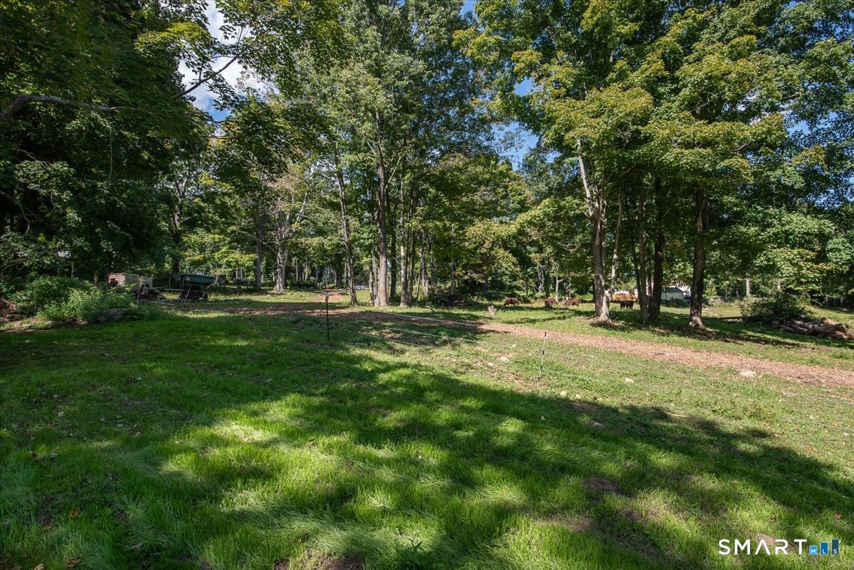 79 Seckar Road photo 28