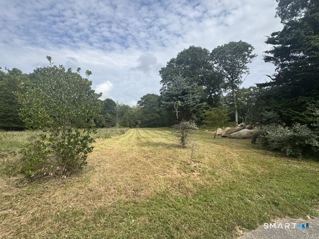 14 Barnes Road photo 14