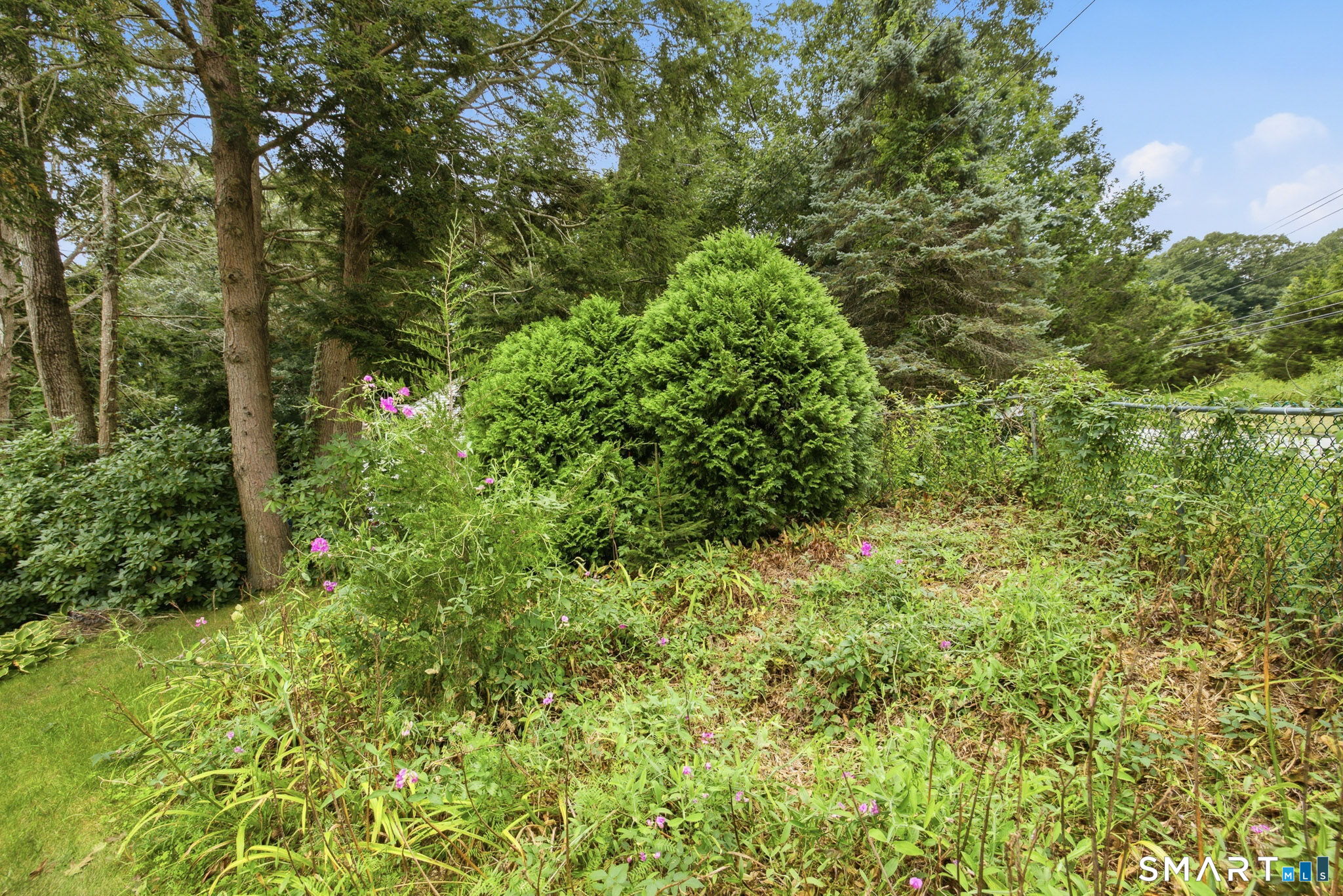 235 Westchester Road photo 32