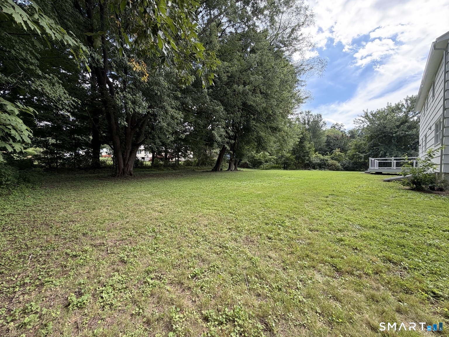 5 Butternut Drive photo 36