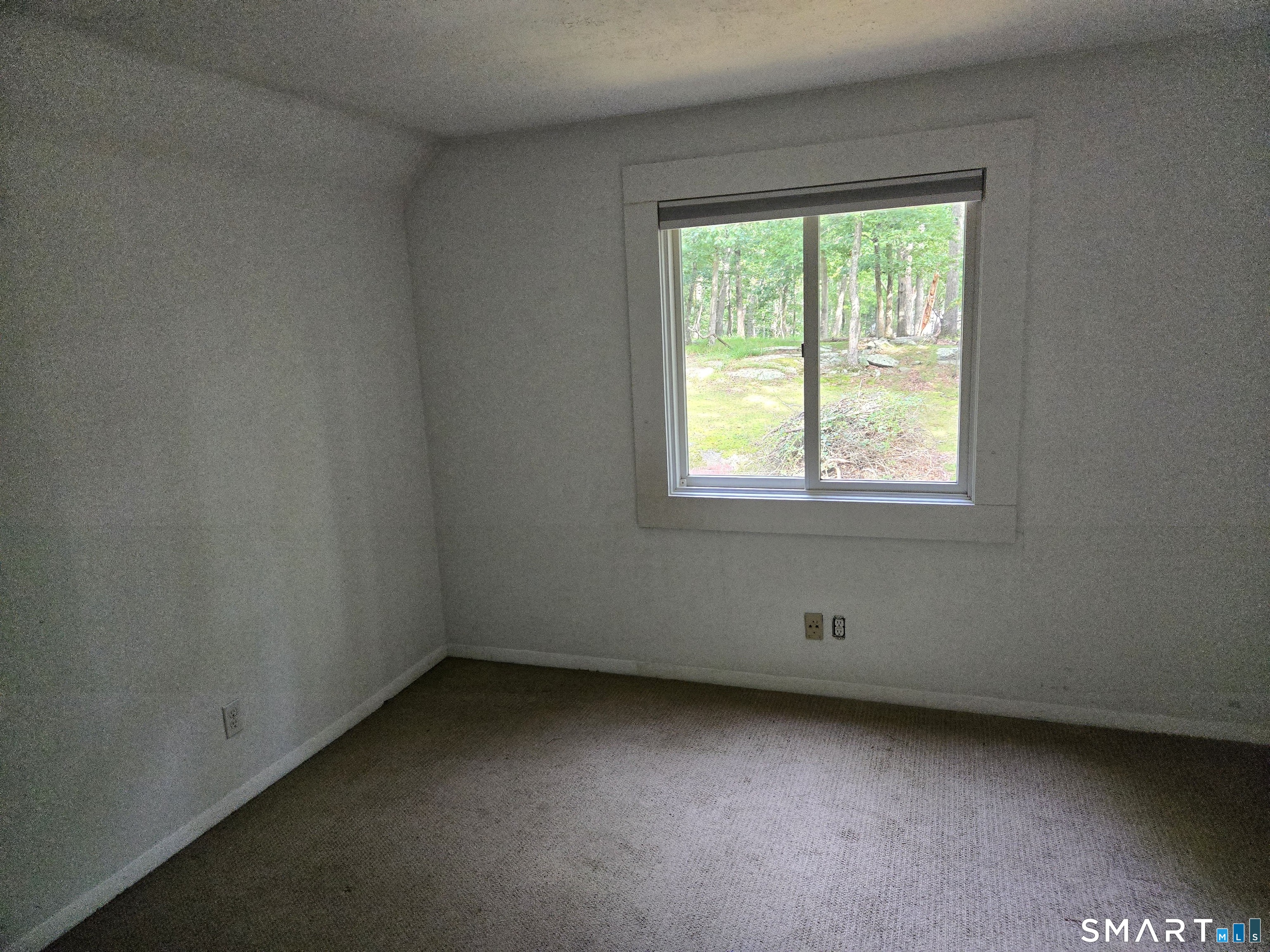 38 Ravenwood Drive photo 35