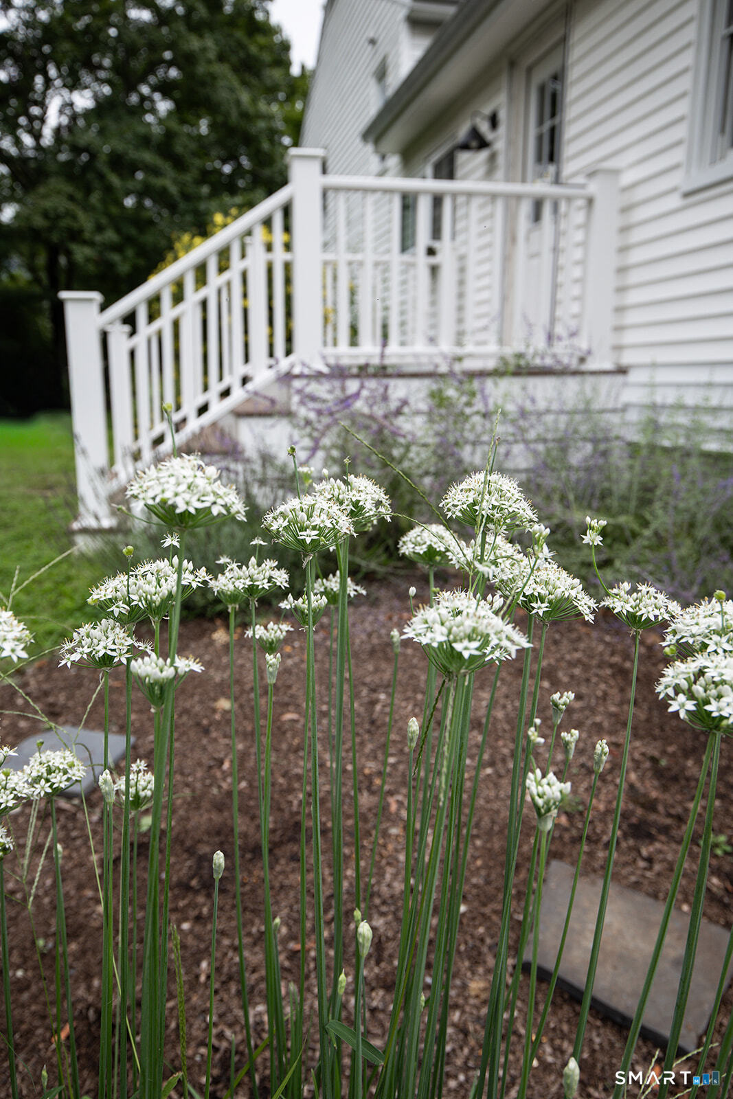 5 Cornwall Court photo 24
