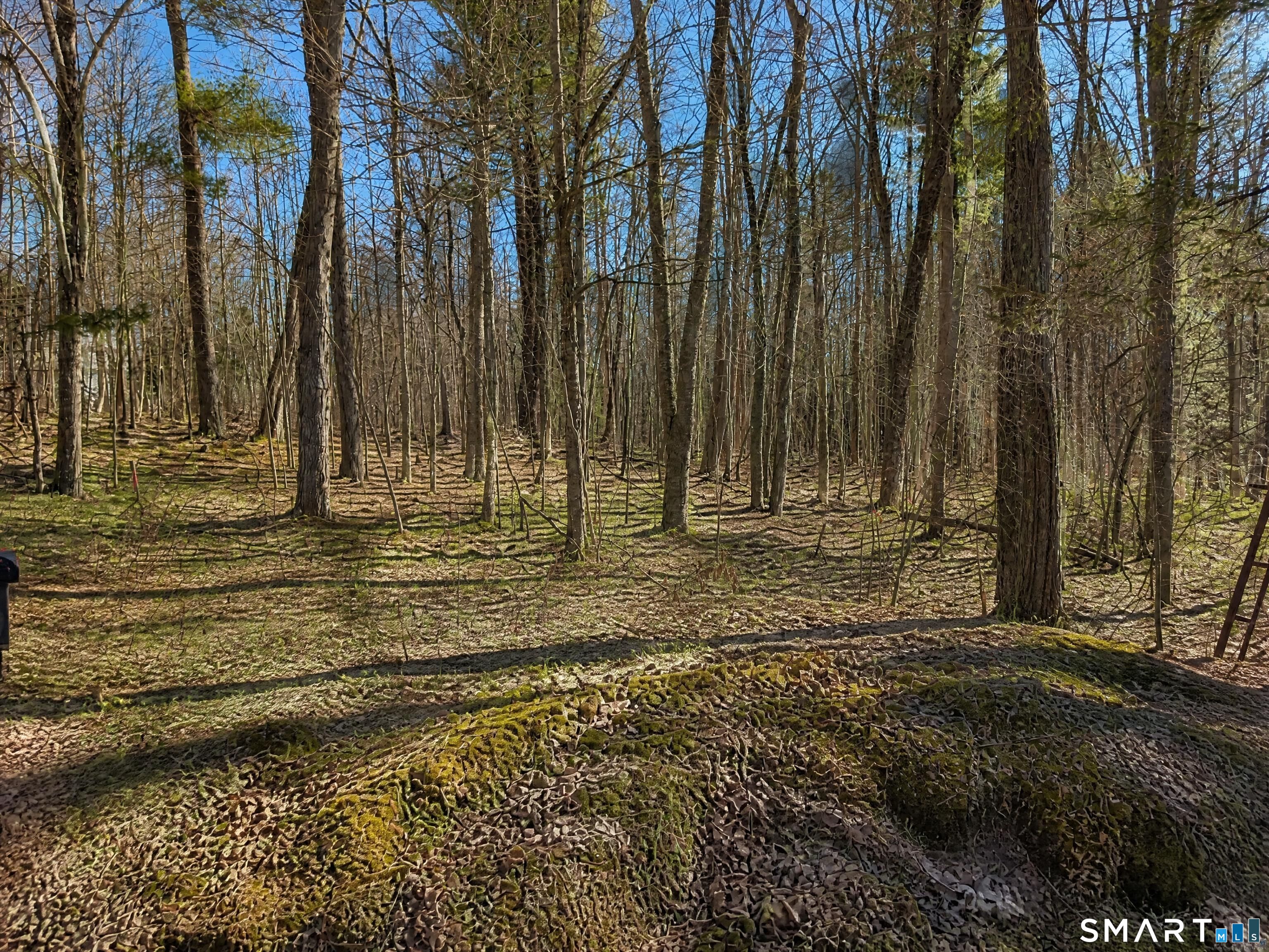 Photo 1 of Land for sale at 646 Torringford St, Torrington, CT 06790 | MLS# 24152725 | Listing updated on 2026-09-11
