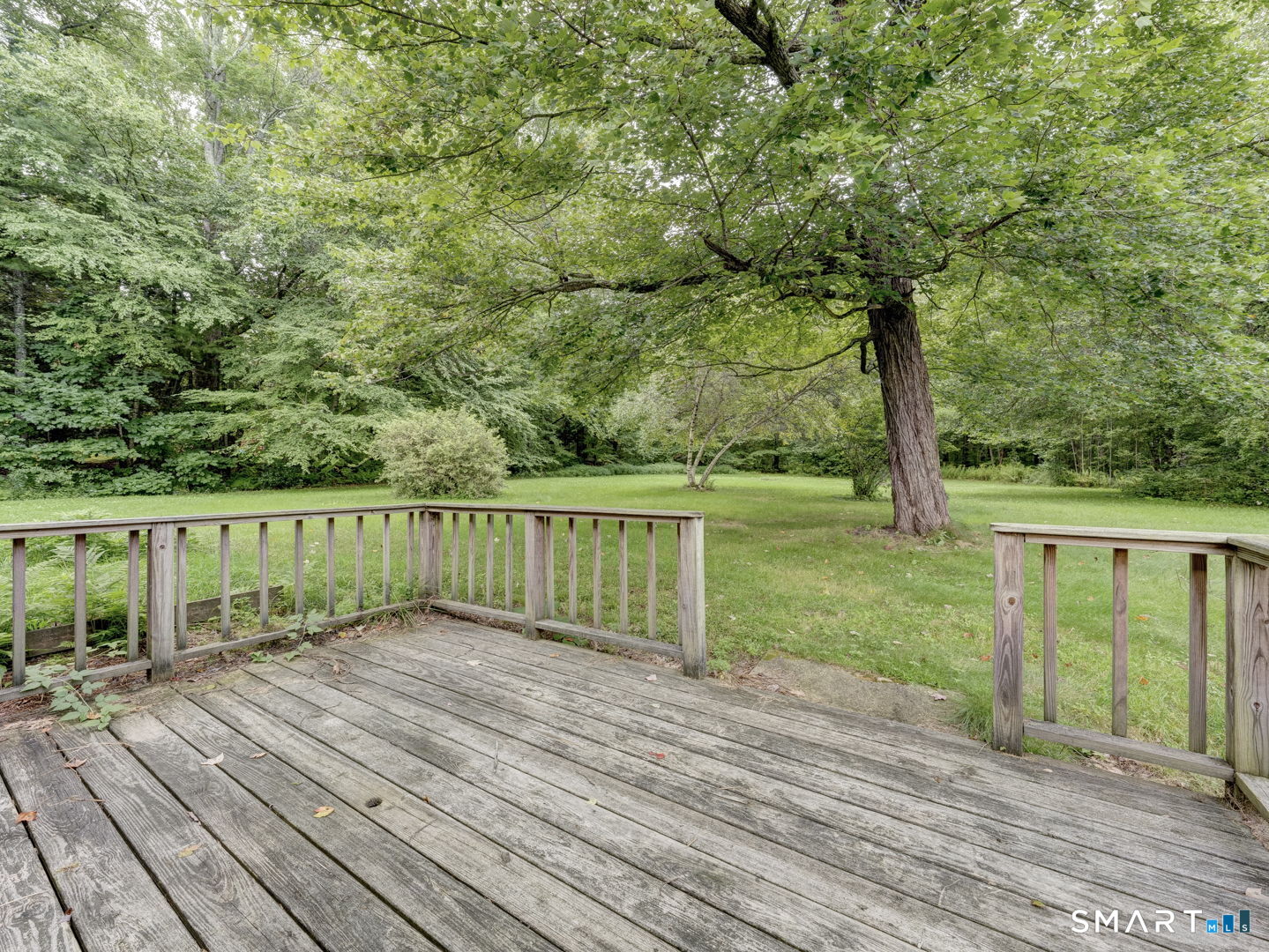 215 Campville Road photo 35