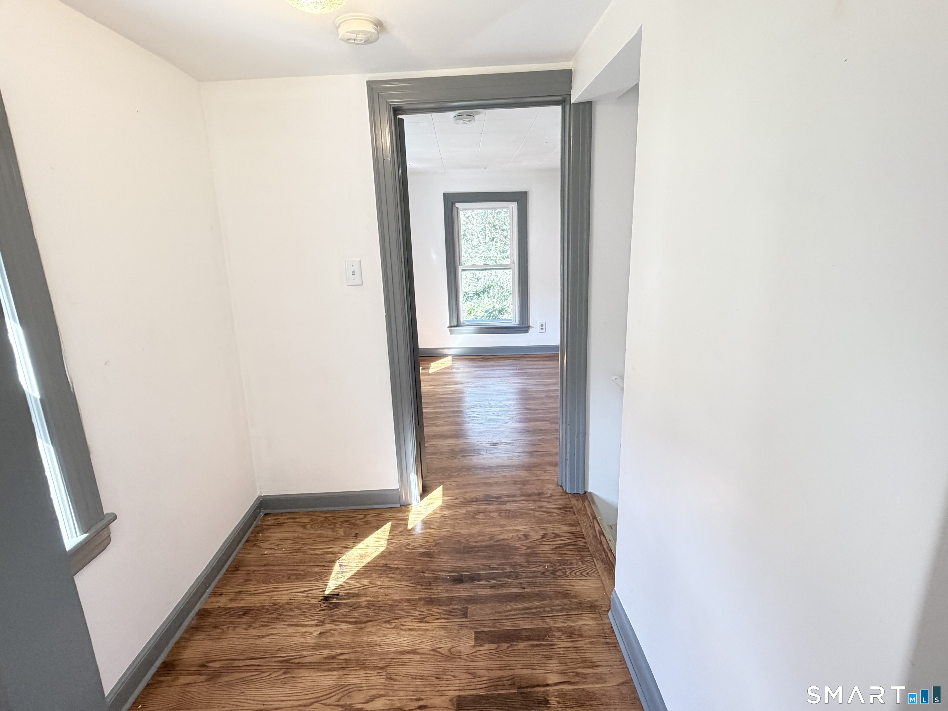 6 Beech Street photo 21
