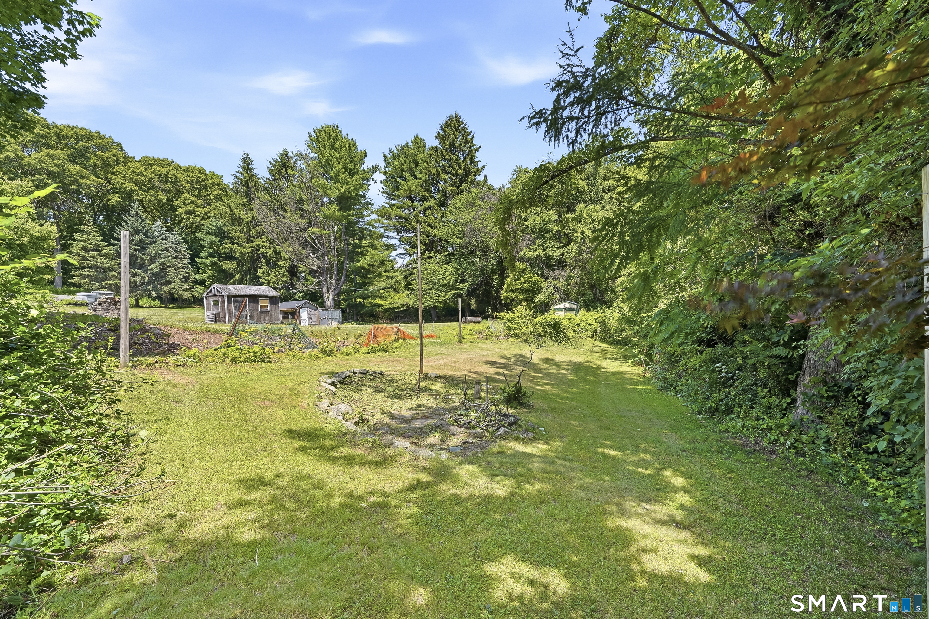 6 Beech Street photo 32