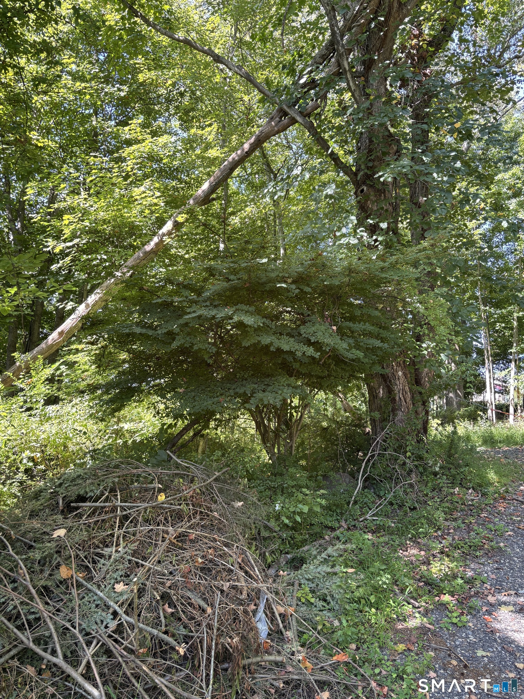 70 Old Good Hill Rd Road photo 5