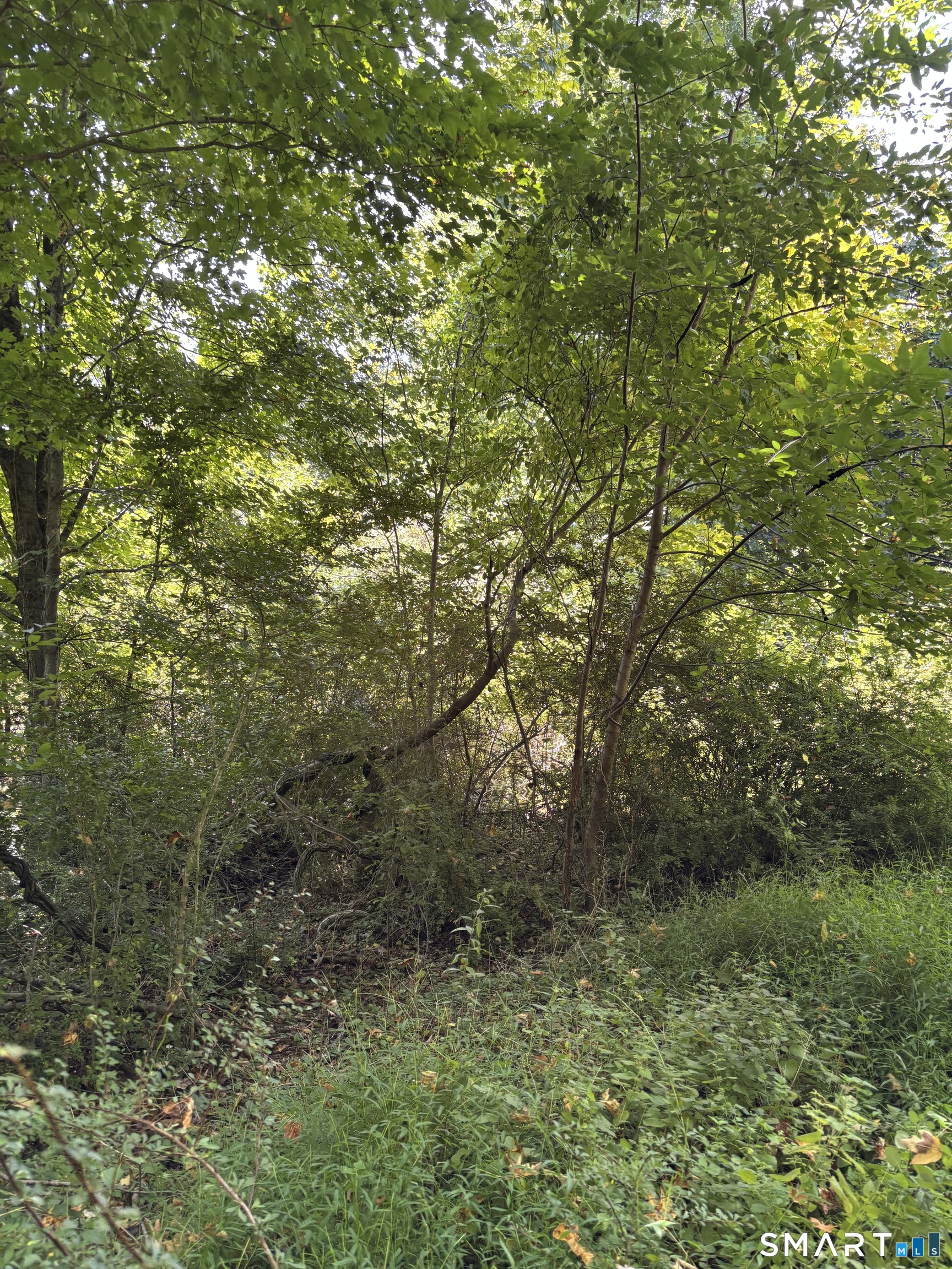 70 Old Good Hill Rd Road photo 6