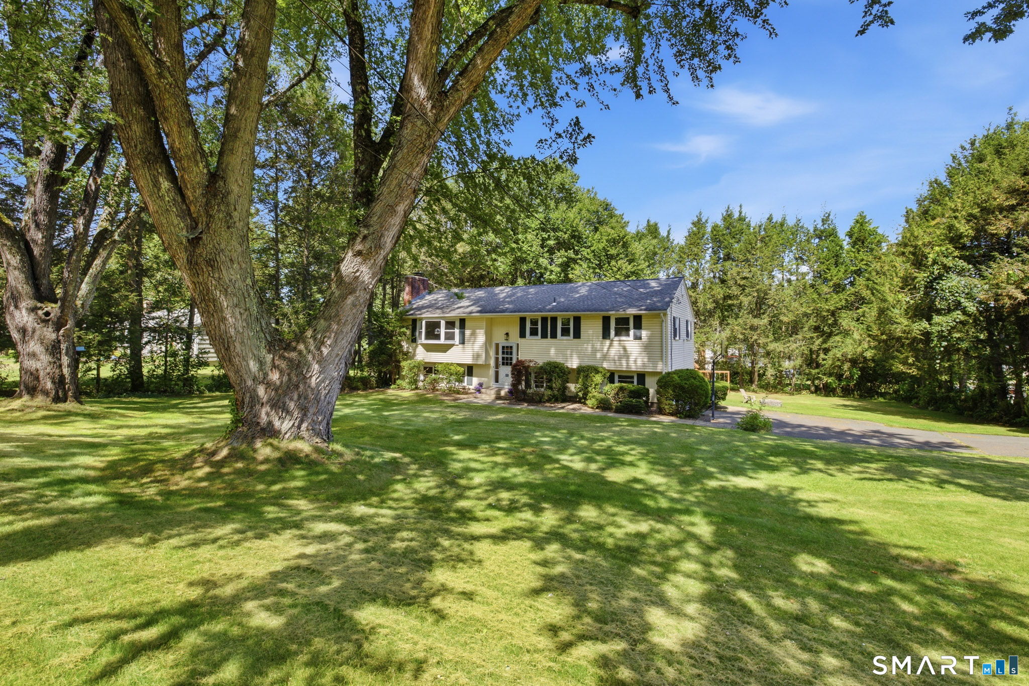 81 Warren Avenue photo 37