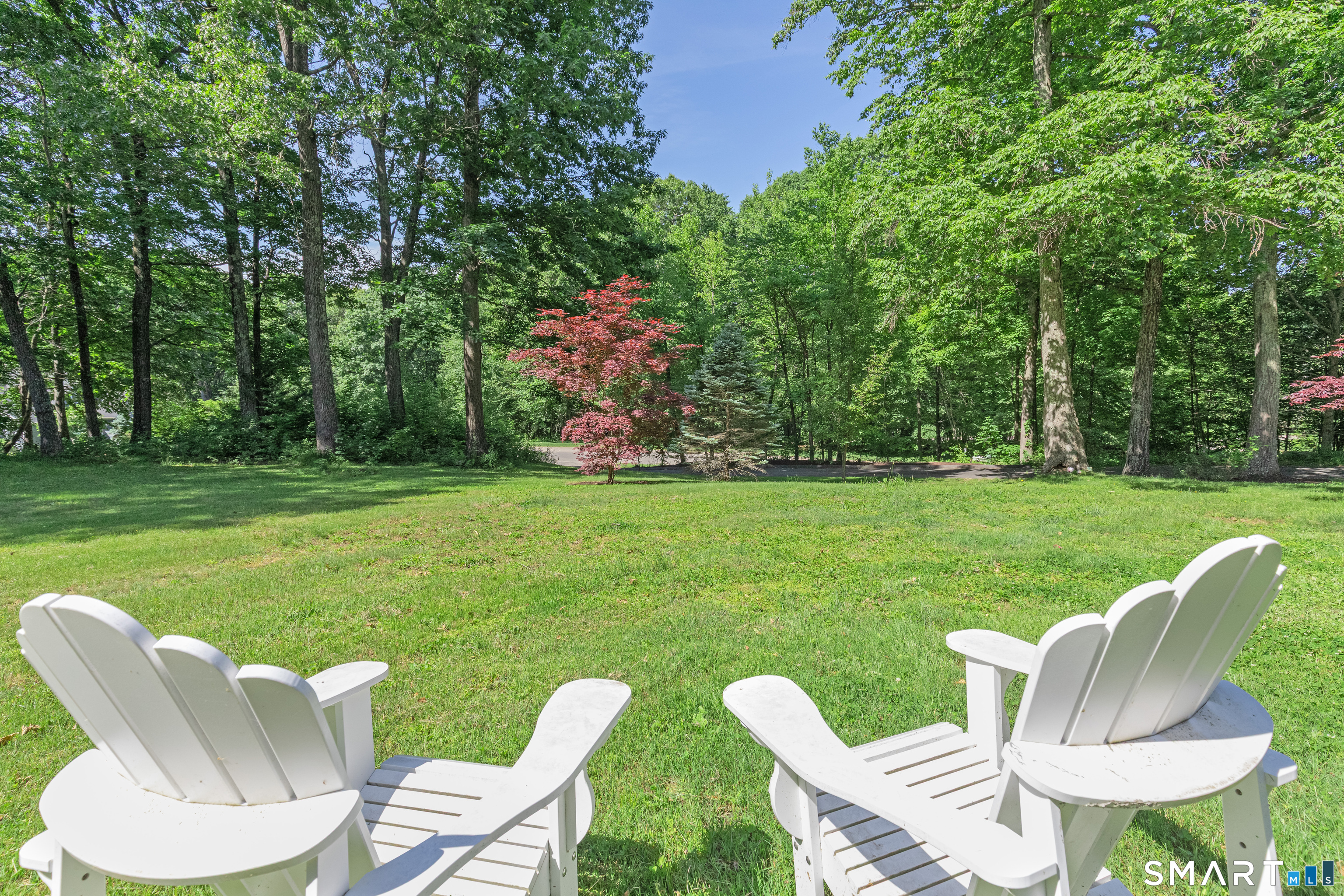 15 Saxony Lane photo 35