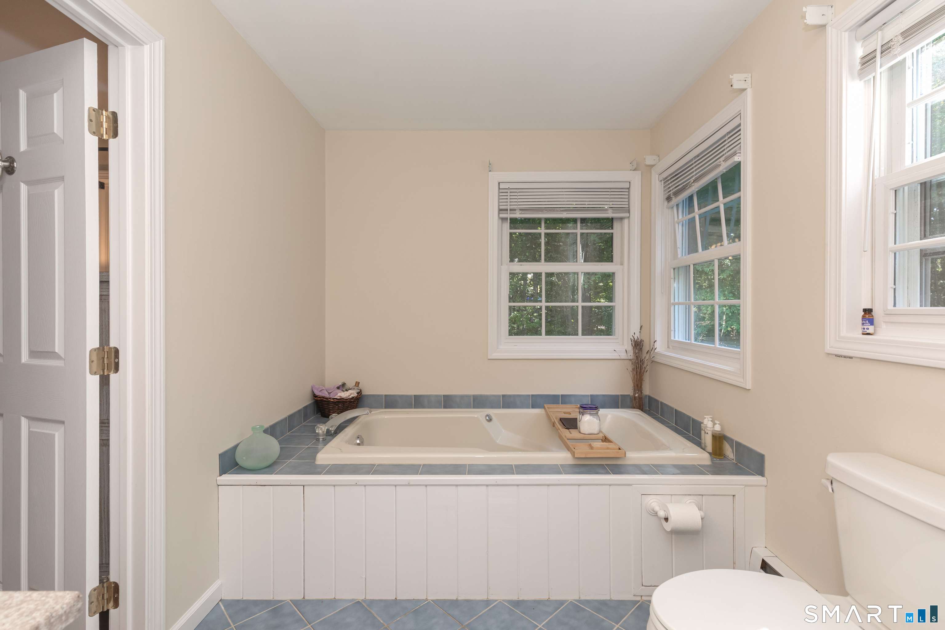 15 Saxony Lane photo 19