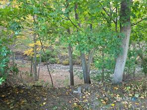 481 Bunker Hill Avenue photo 12