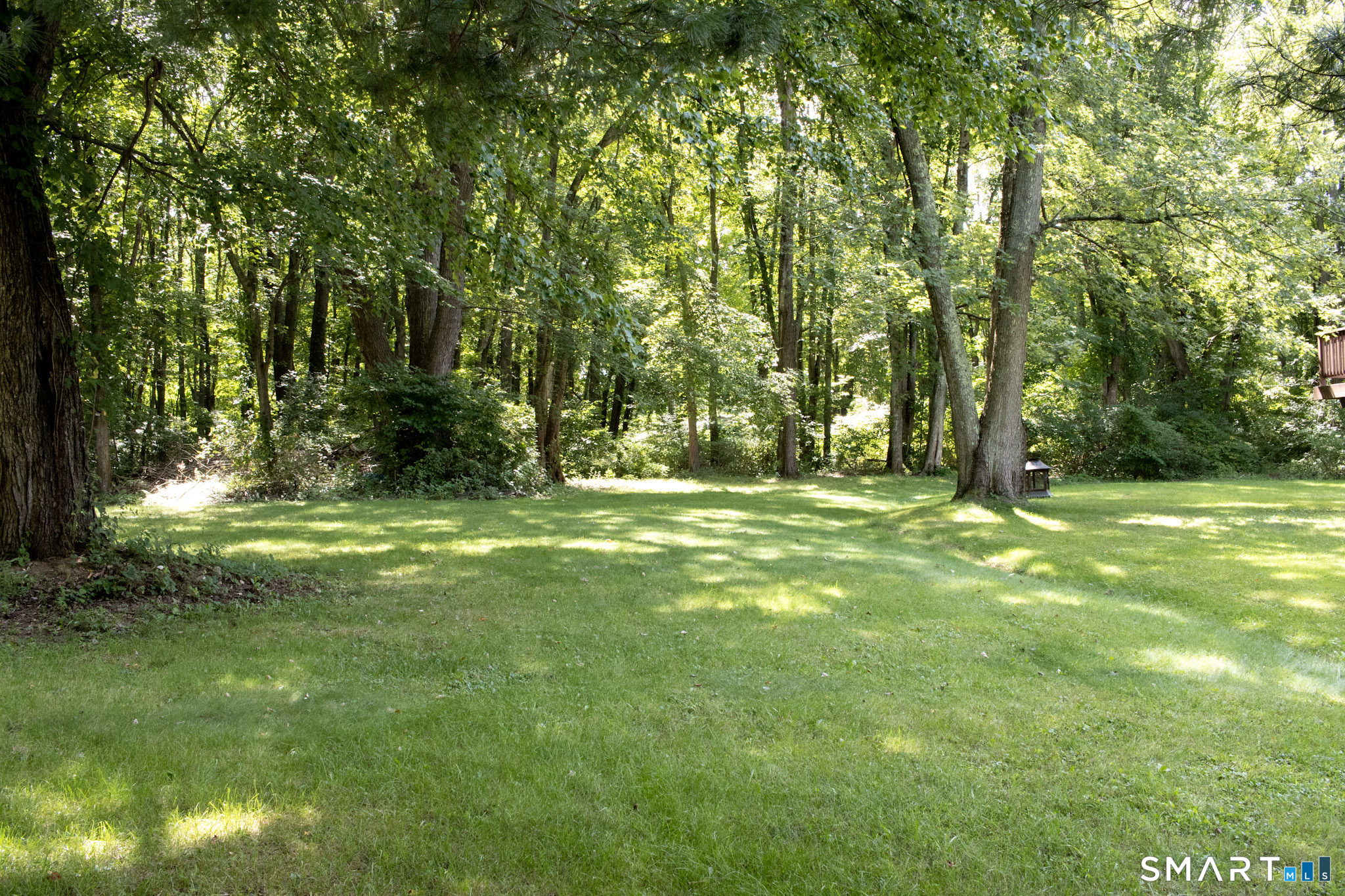262 Wetherell Street photo 24