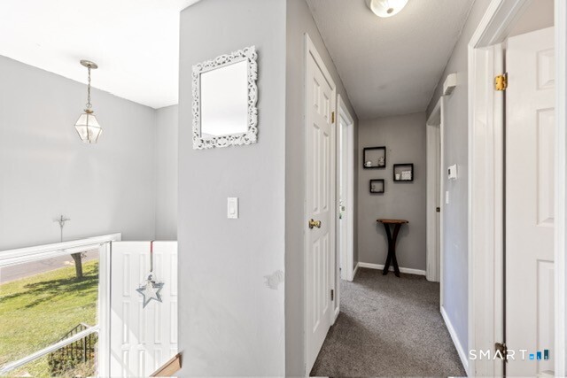 92 Carriage Lane photo 26