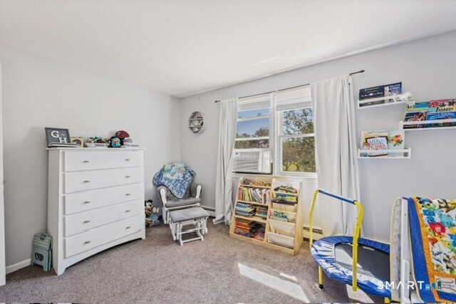 92 Carriage Lane photo 29