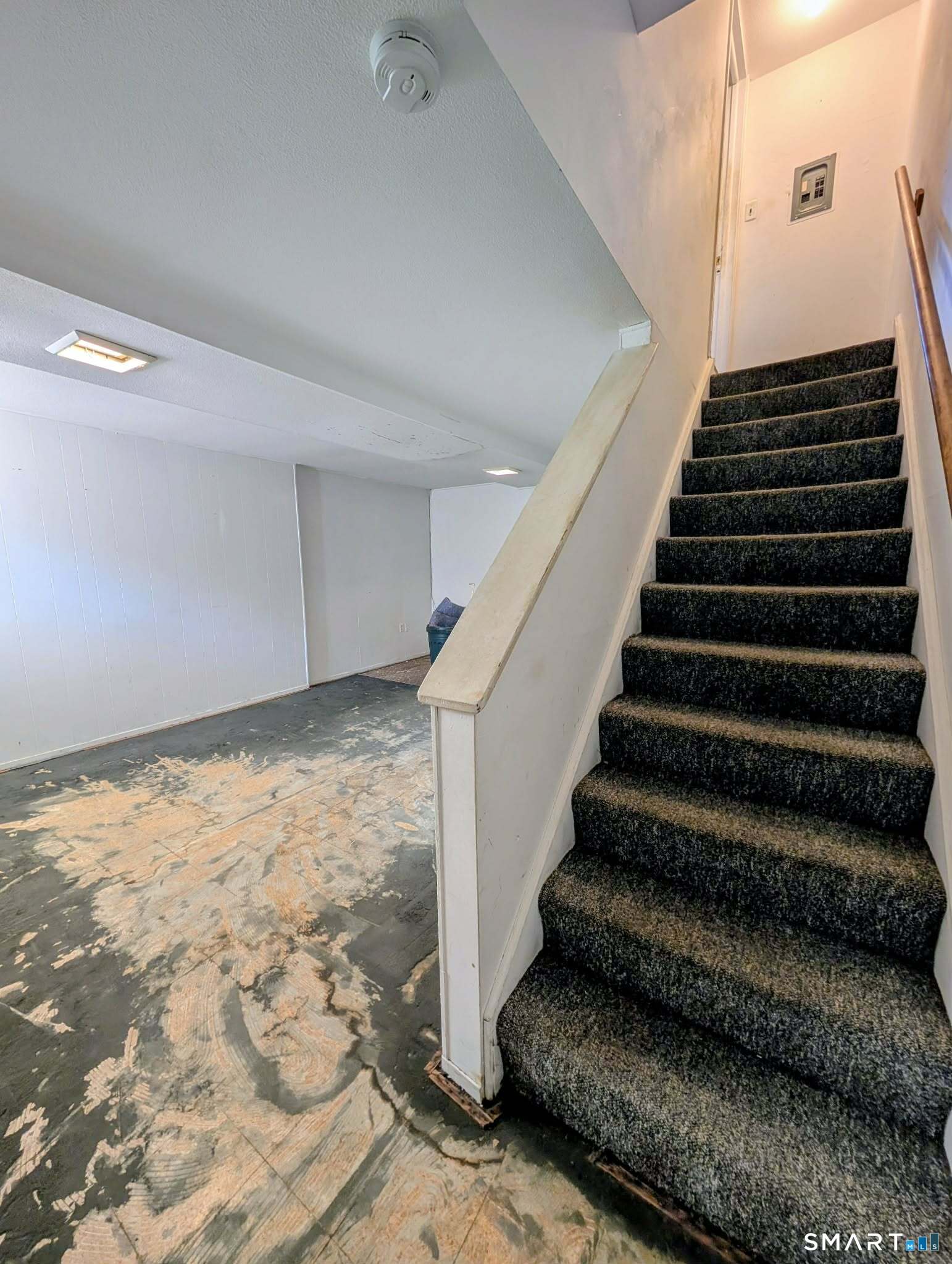 2 Camelot Drive Unit #3 photo 10