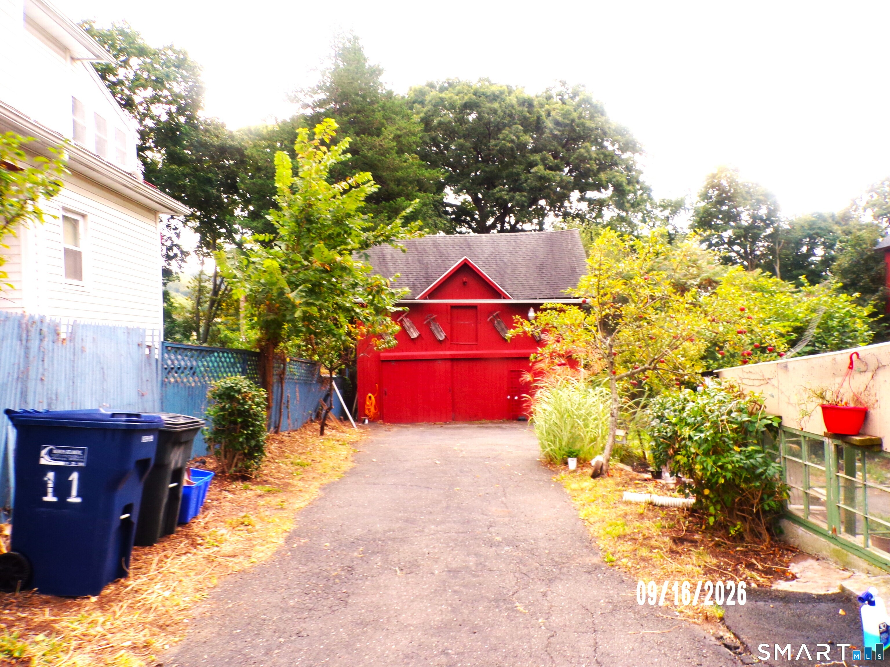 11 William Street photo 38