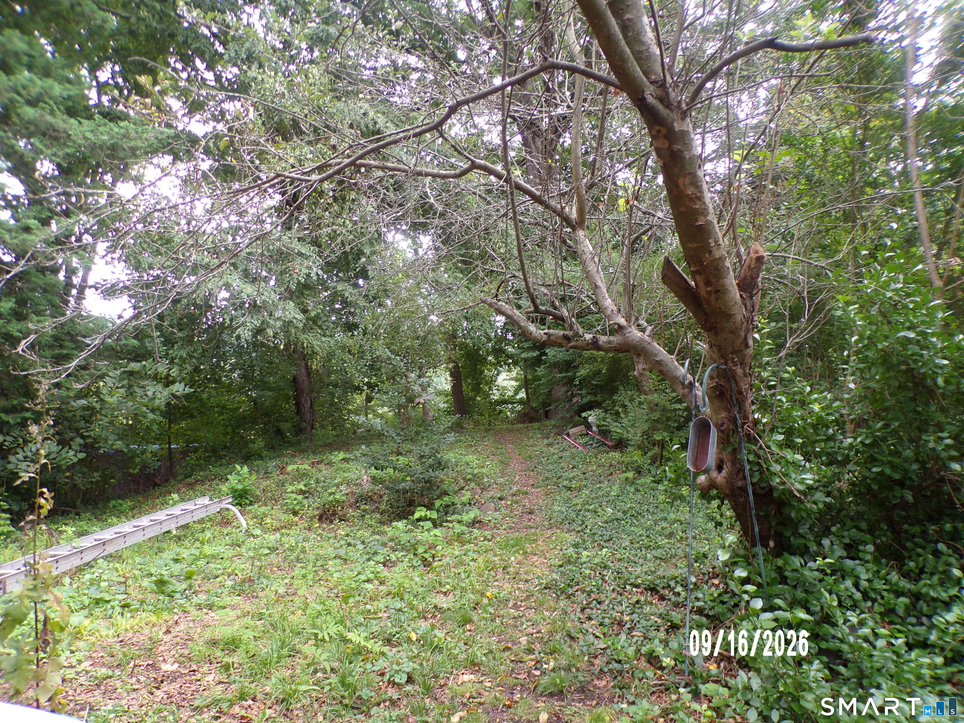 11 William Street photo 39