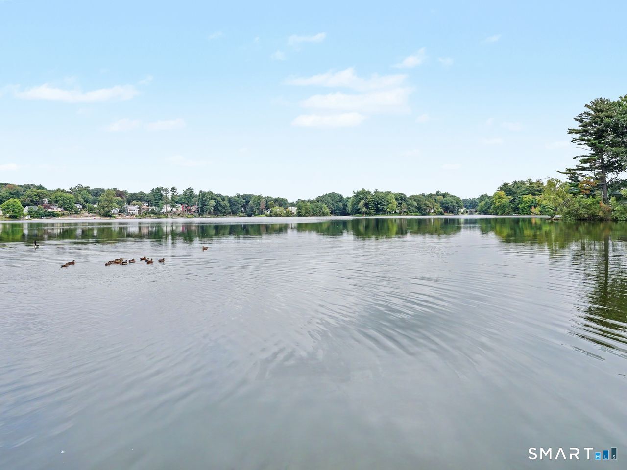 100 Lakeshore Terrace photo 13