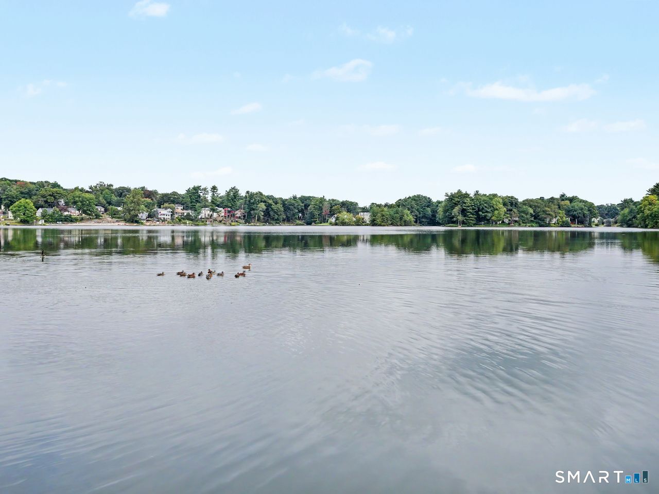 100 Lakeshore Terrace photo 14