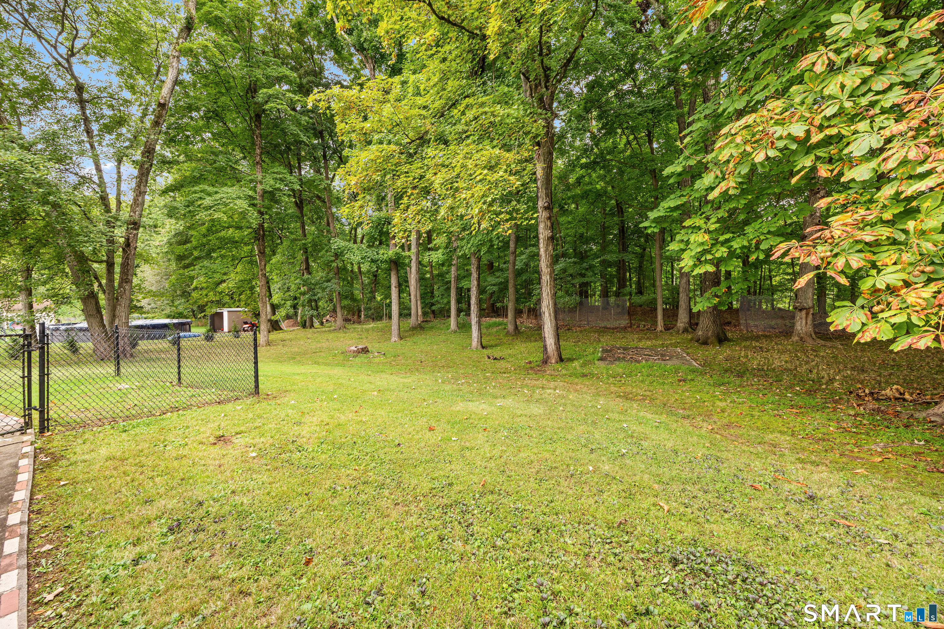 233 Forest Lane photo 23