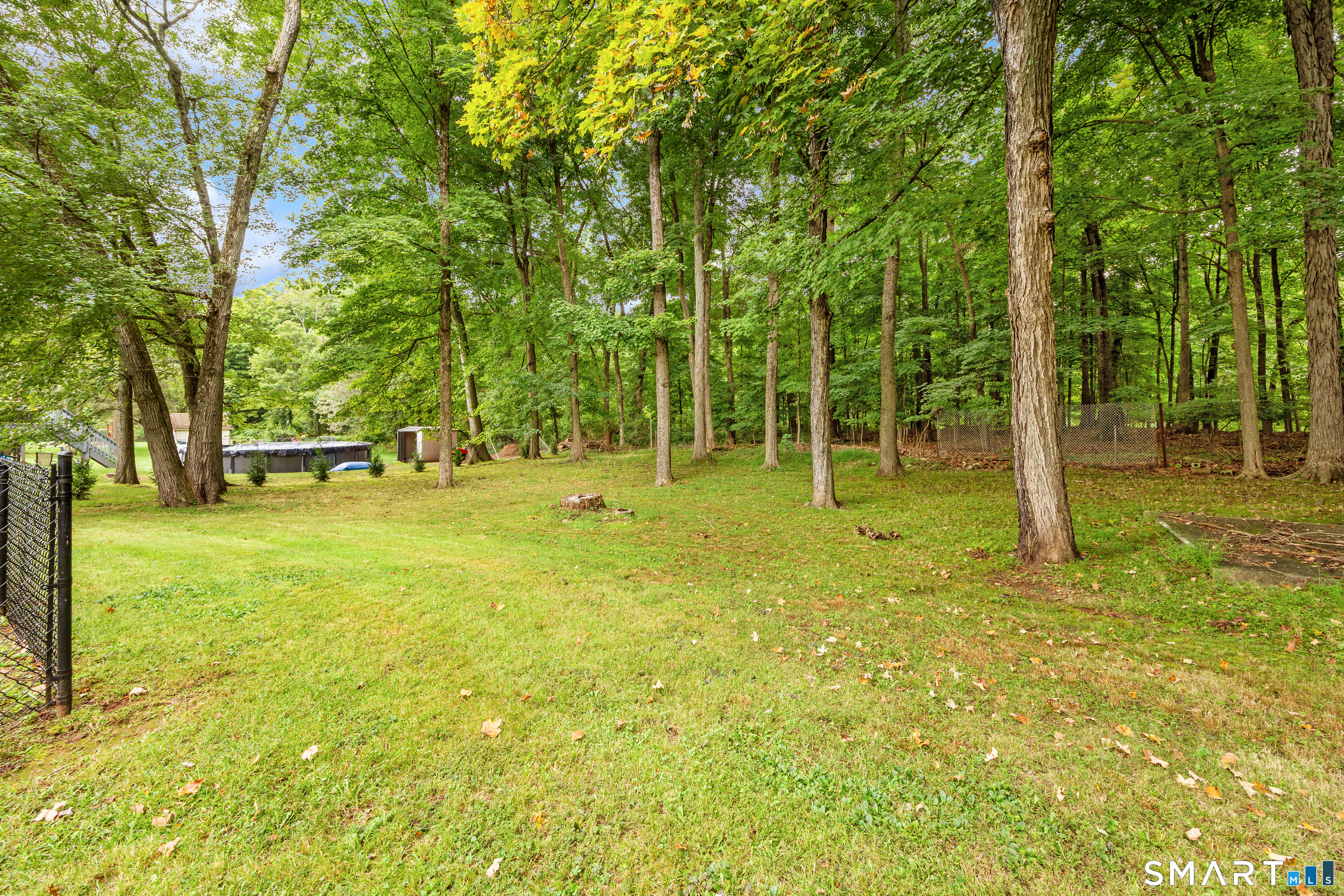 233 Forest Lane photo 24