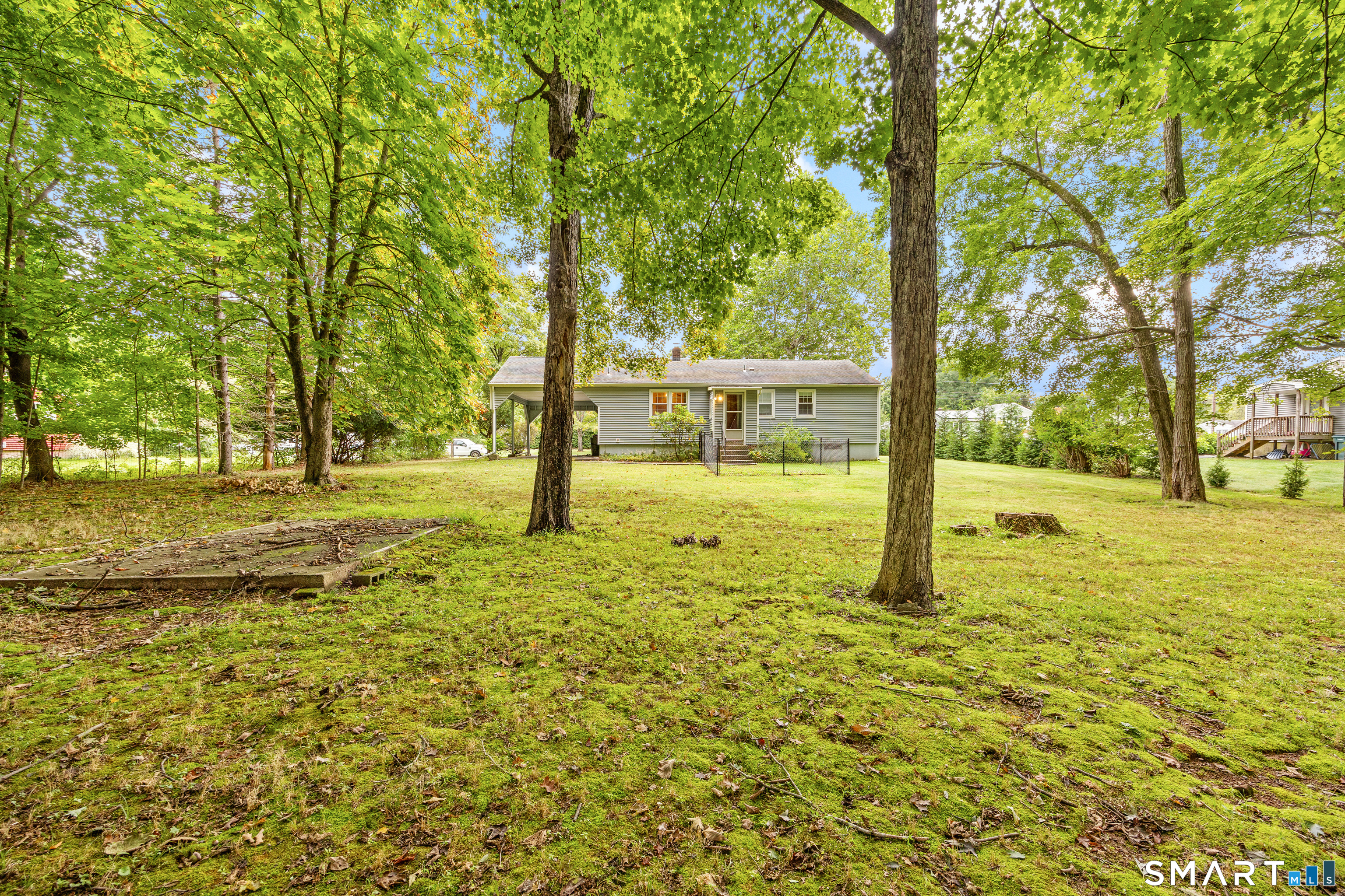 233 Forest Lane photo 25