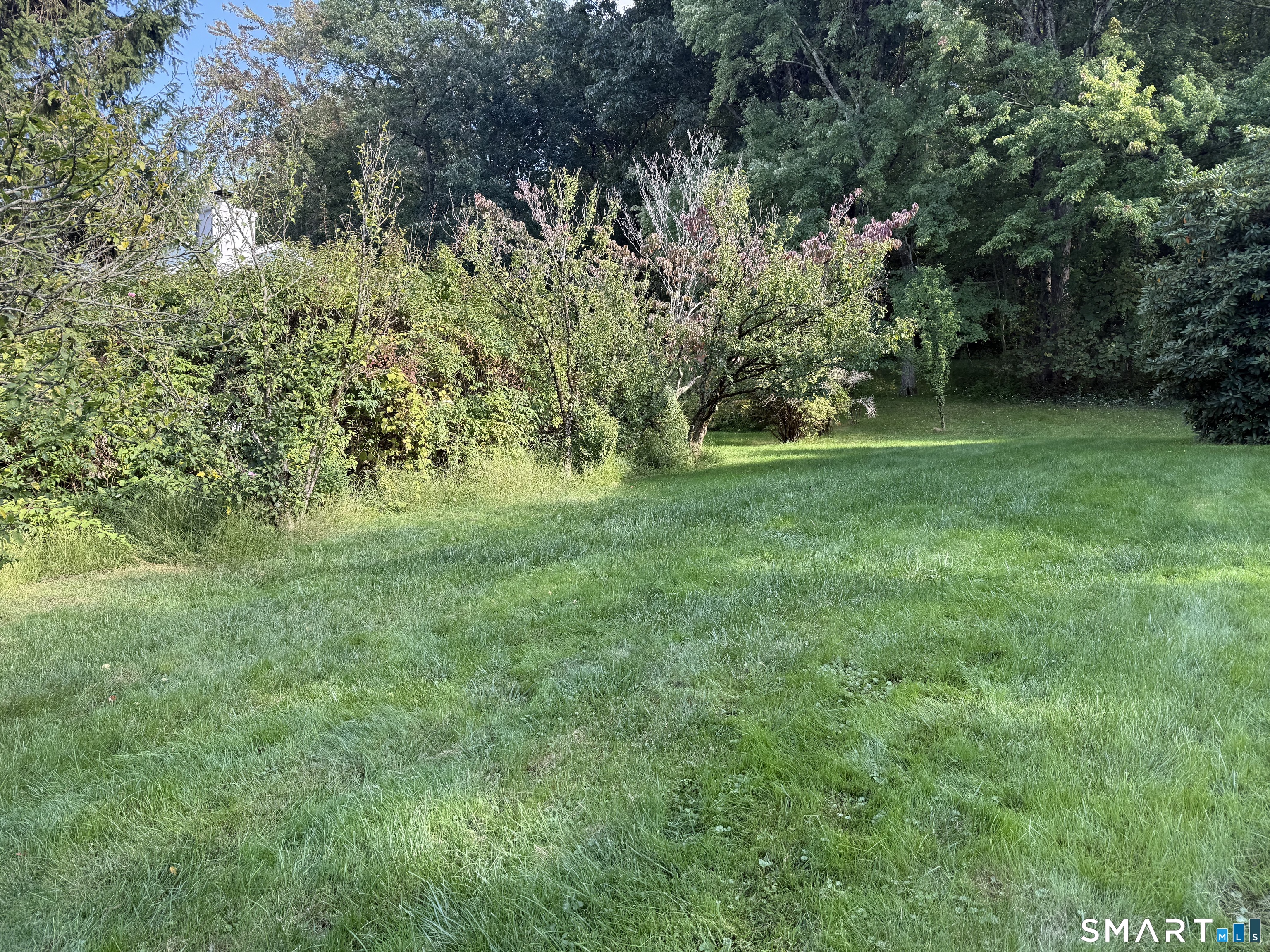 26 Birch Road photo 29