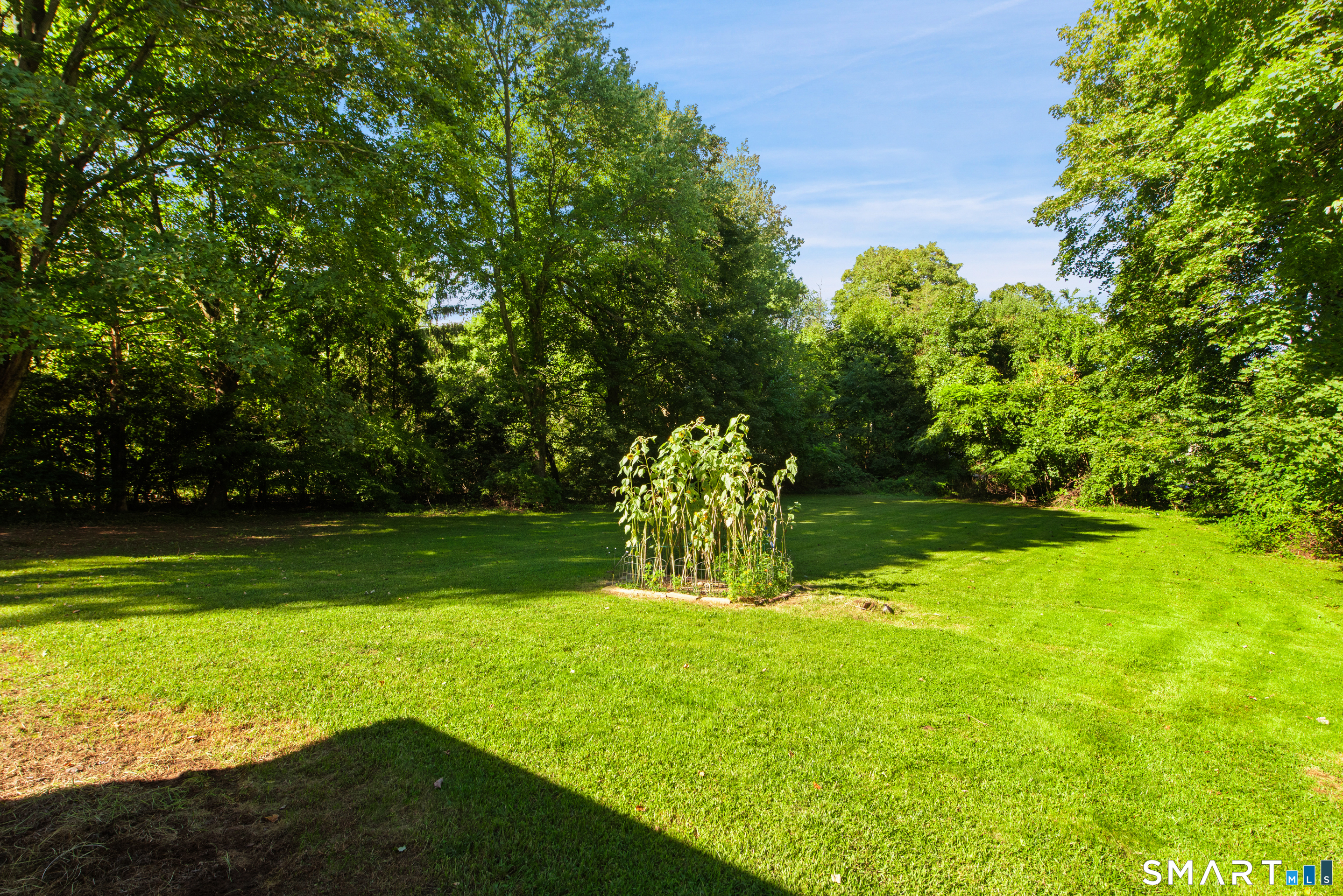 114 Broadview Road photo 24