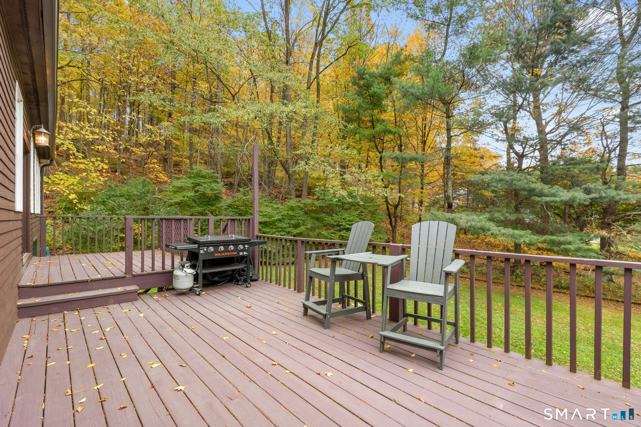 17 Curtis Drive photo 16