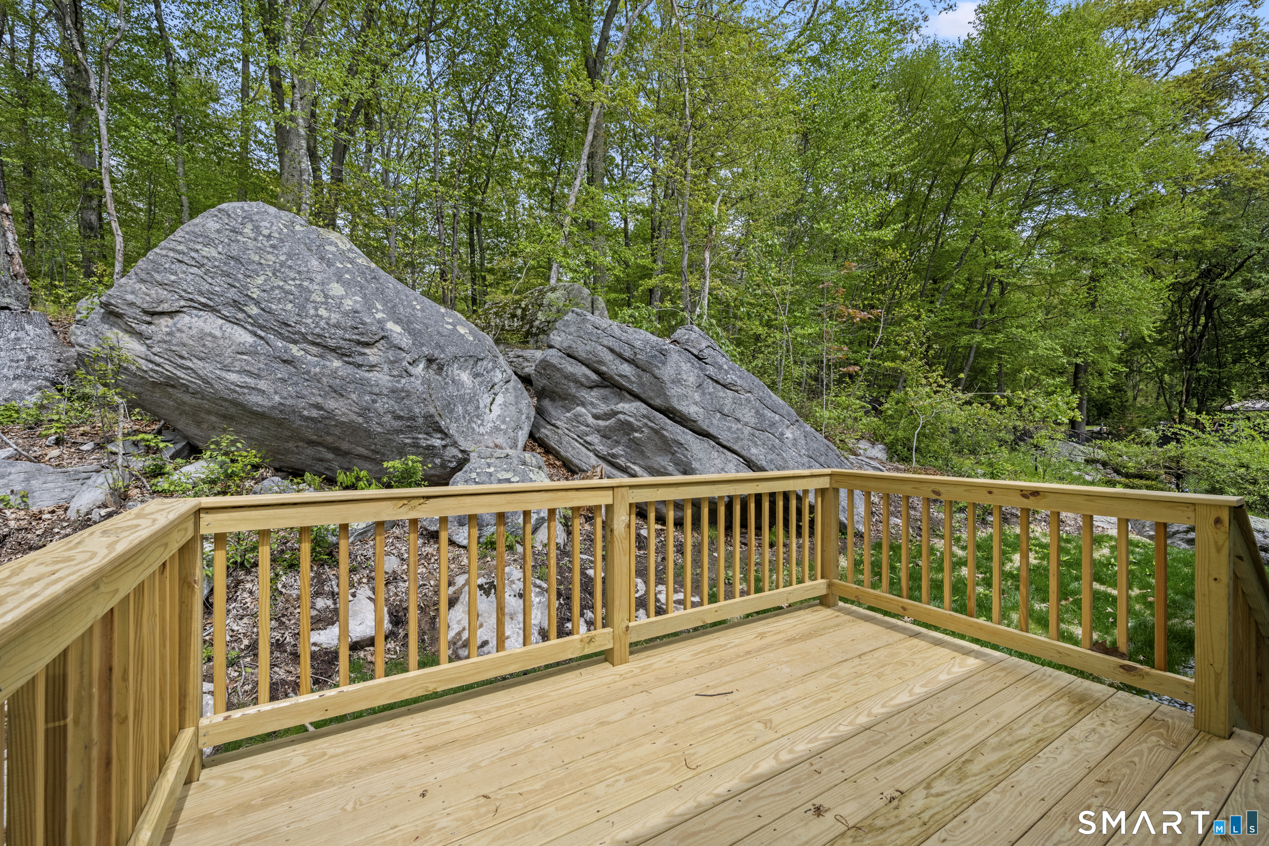217 Buddington Road photo 33