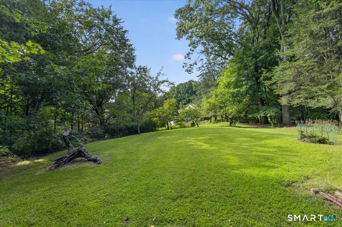 333 Mansfield Road photo 34