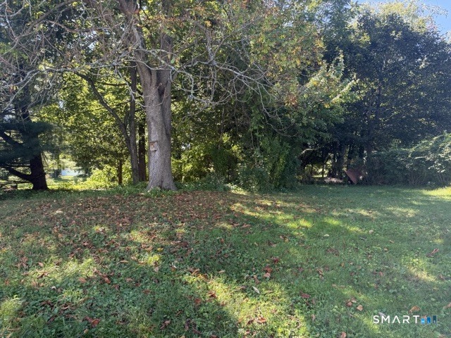146 Pine Knob Drive photo 30