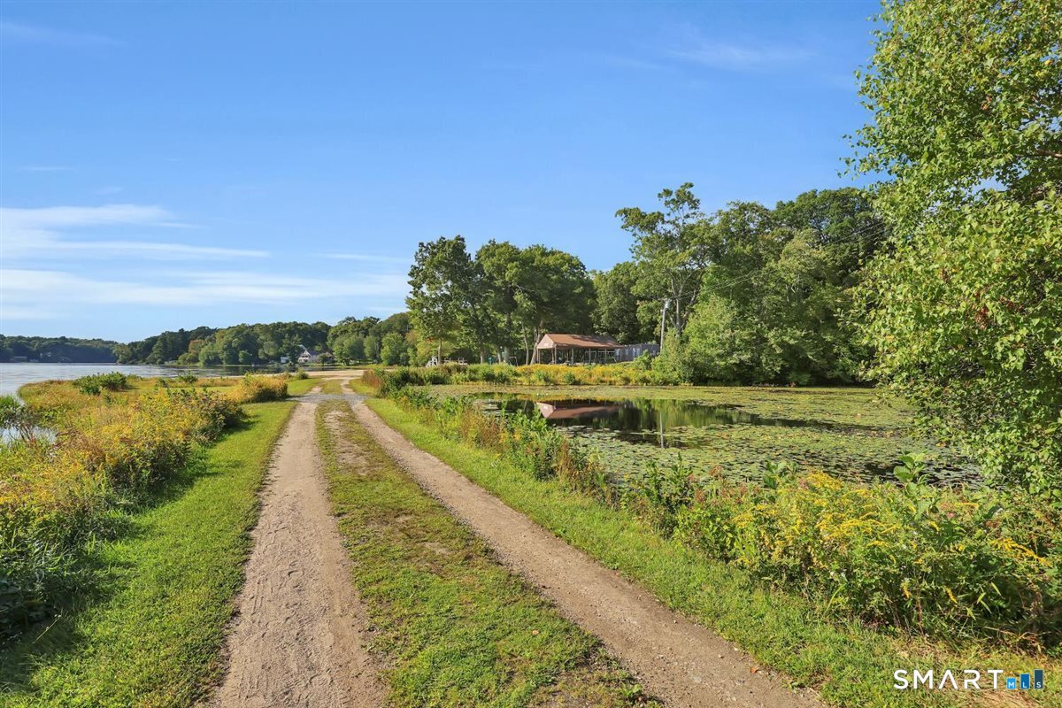 47 Beech Tree Avenue photo 34