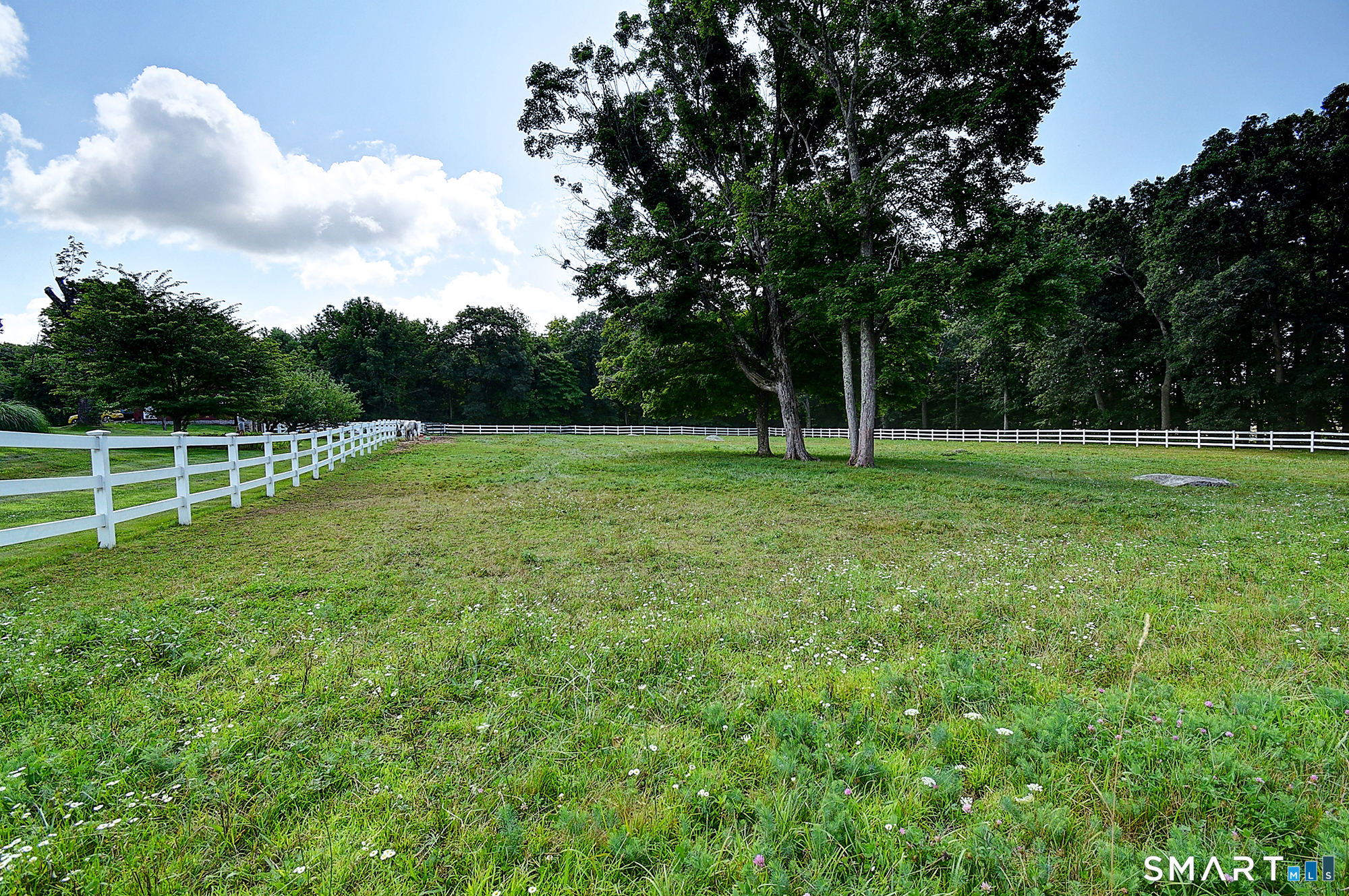 56 Old Farms Road photo 10
