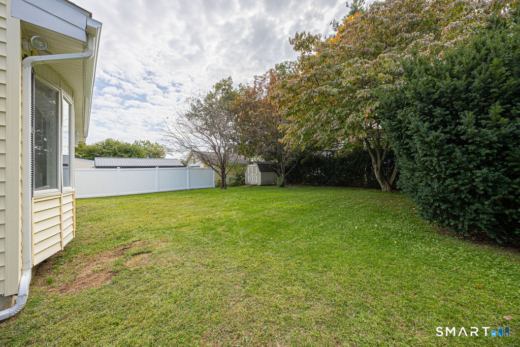78 Knapp Street photo 23