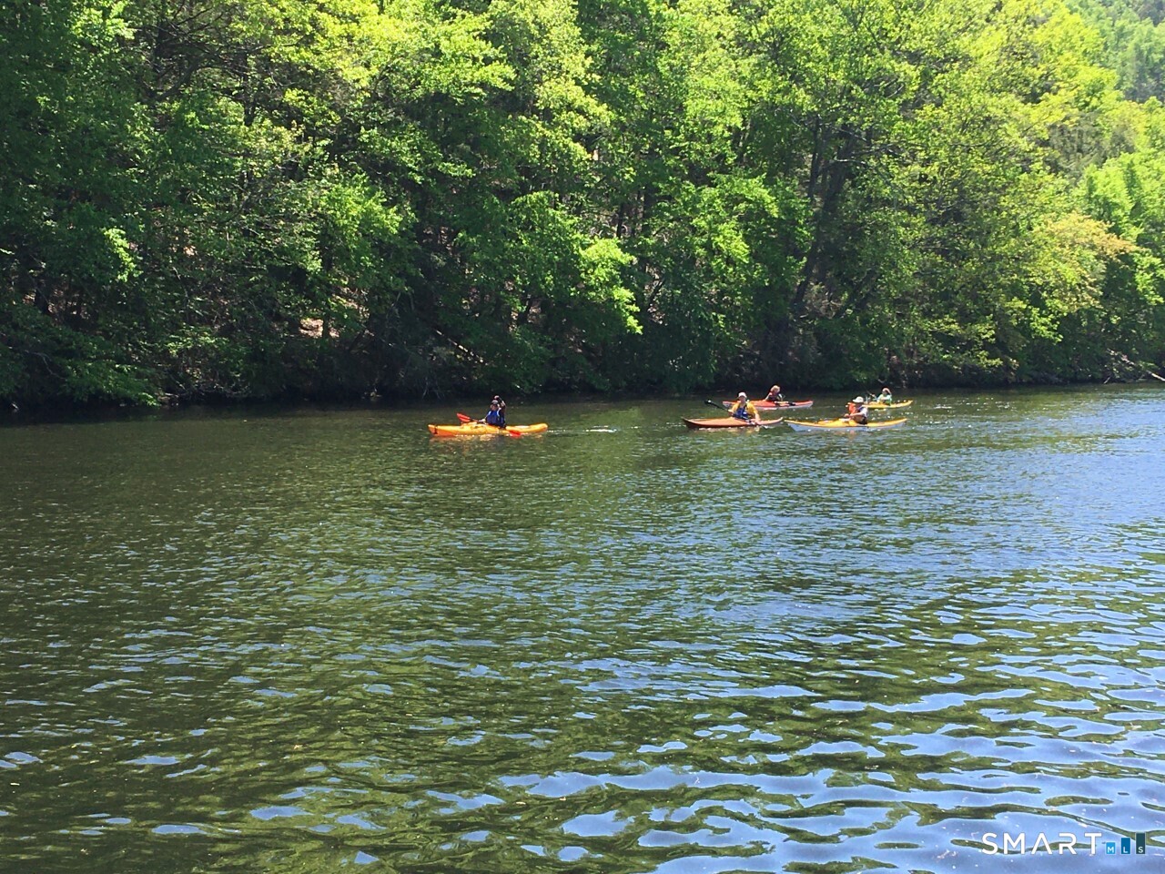 11 Mohawk Trail photo 21