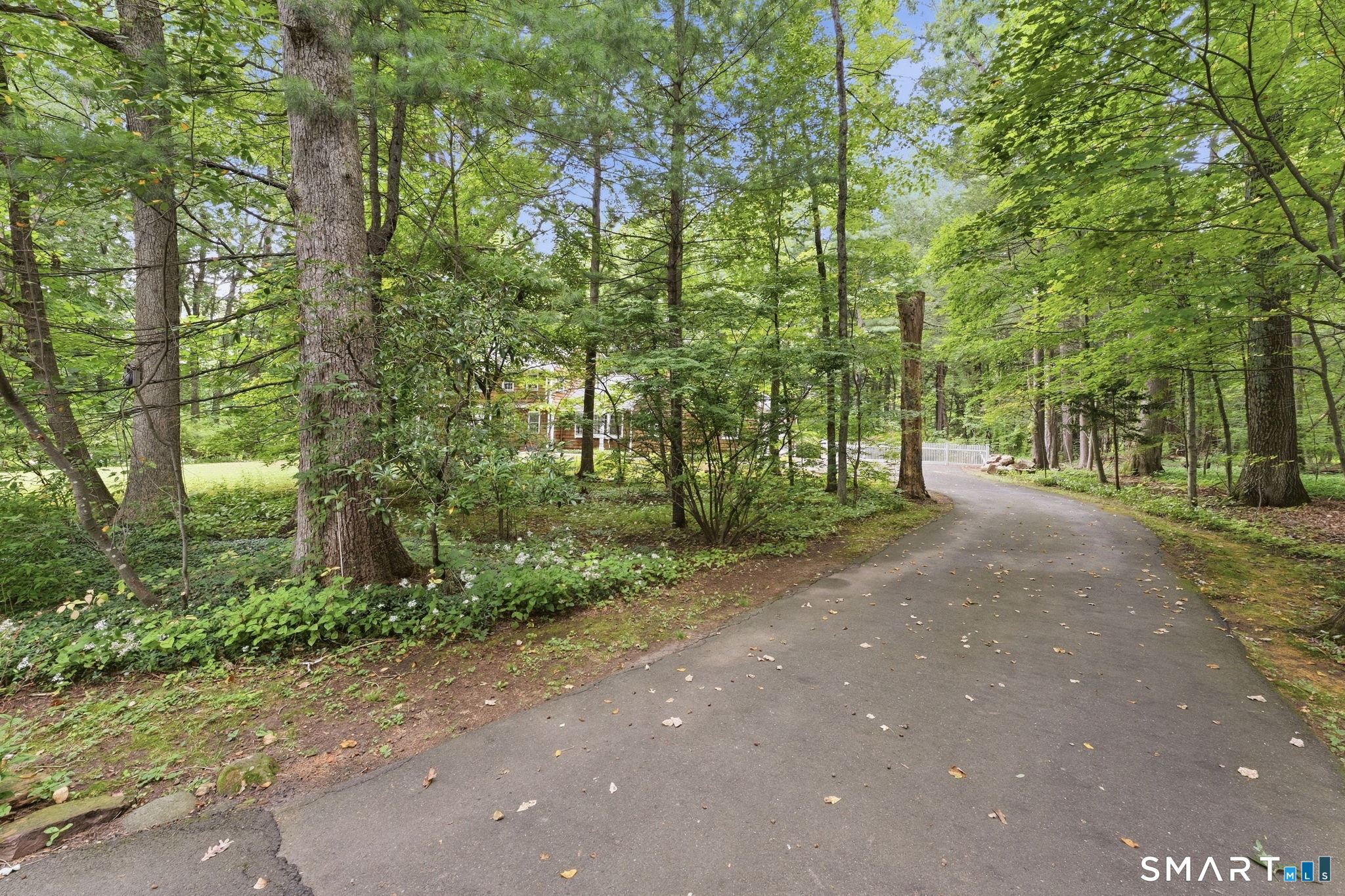 26 Sunset Hill Road photo 34