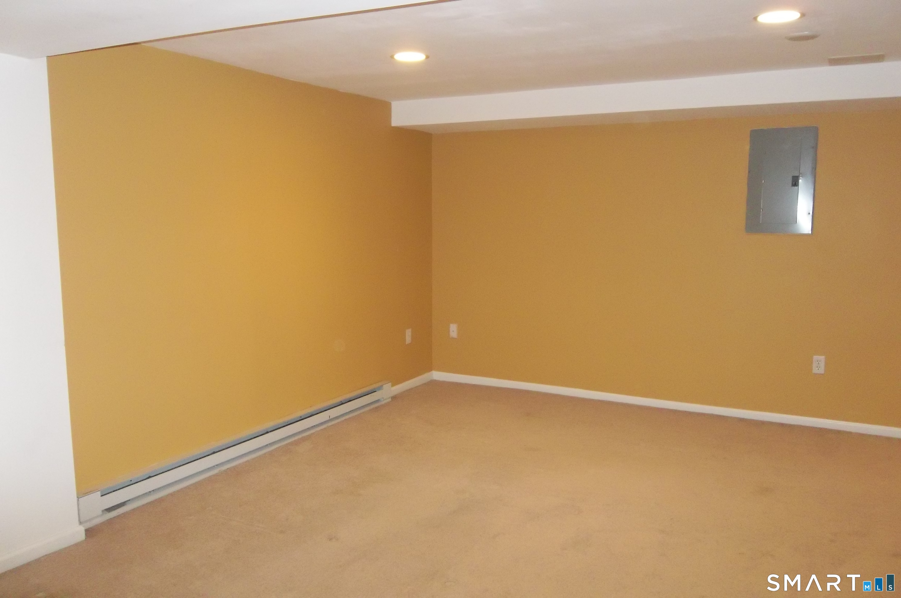 251 Bridge Street Unit #251 photo 10