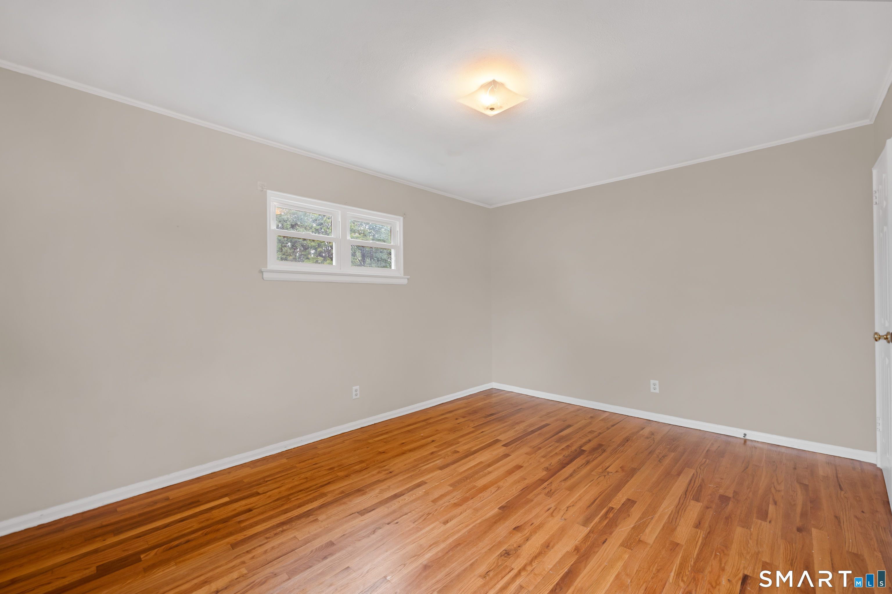 85 Renee Street photo 15