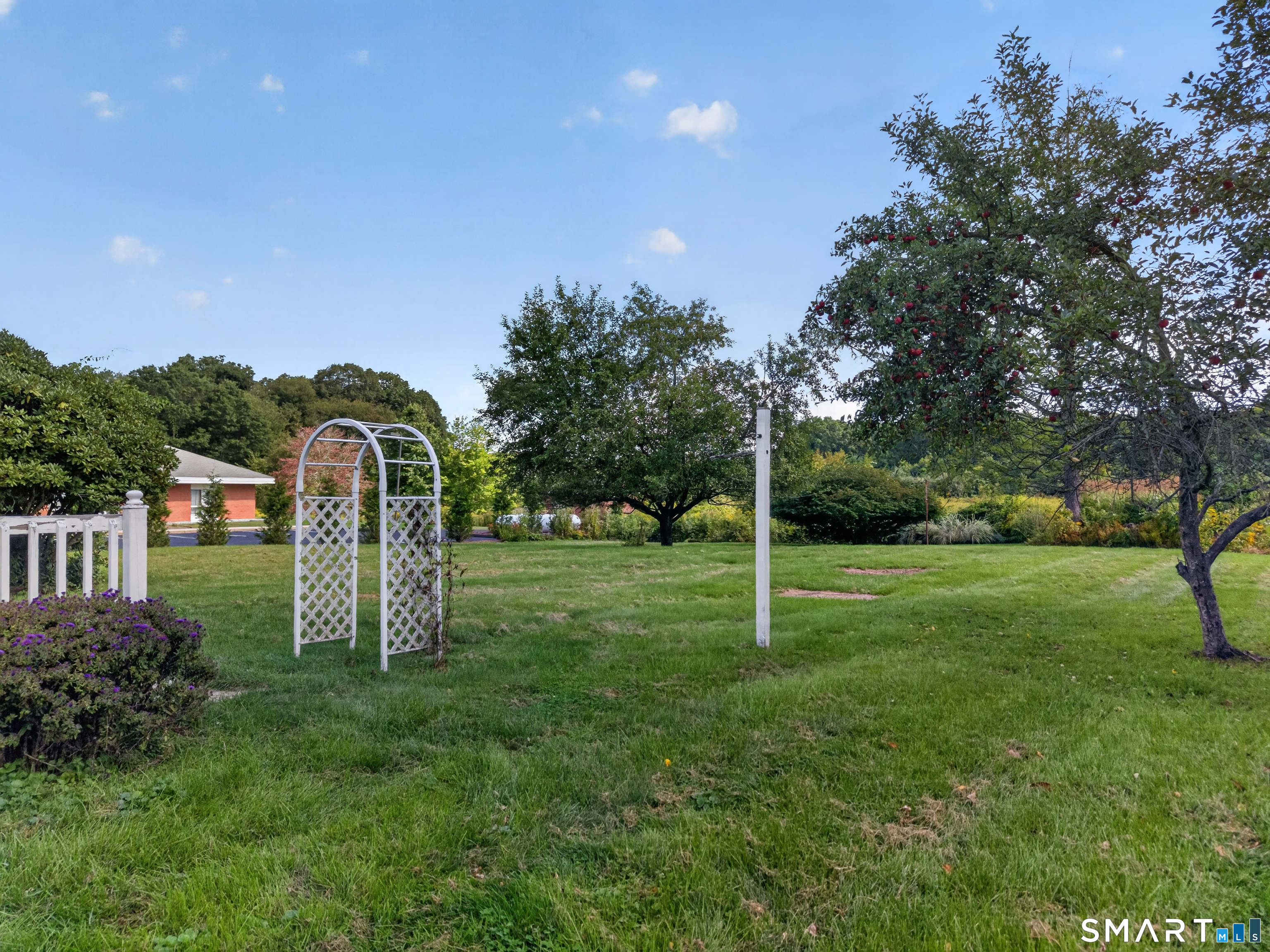 591 Scotland Road photo 37
