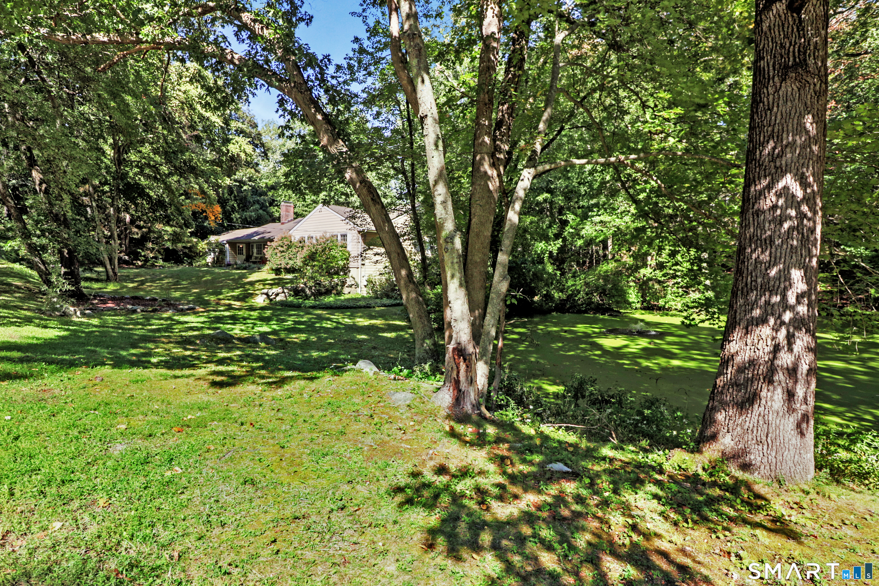 21 Tyler Drive photo 24