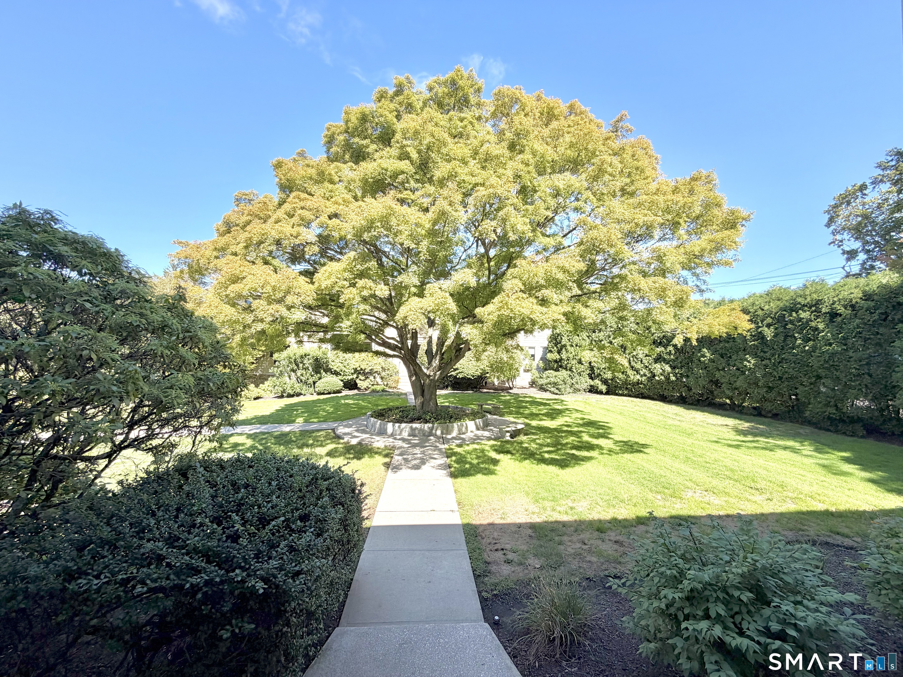 180 Glenbrook Road Unit #15 photo 15