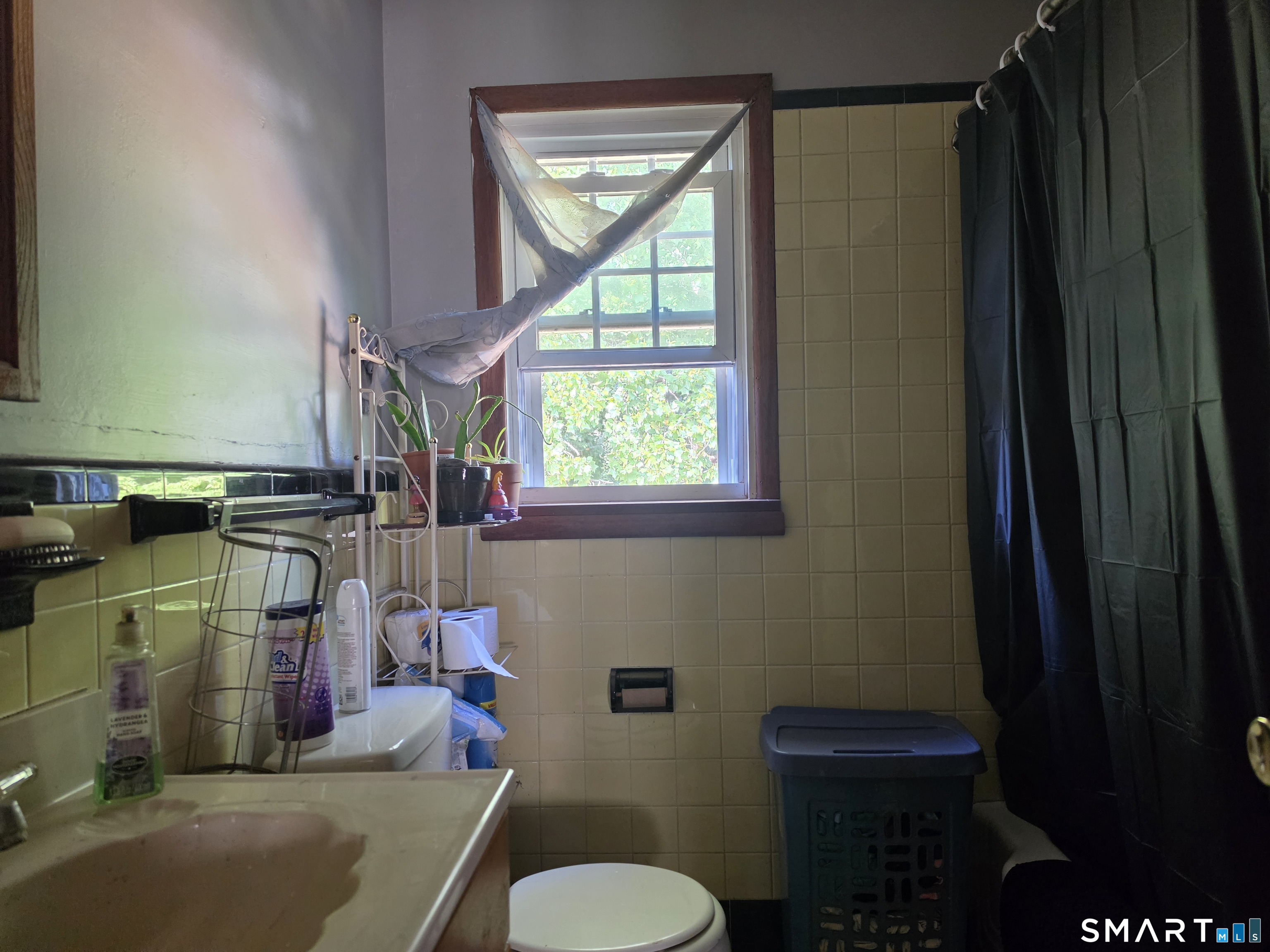 34 Elm Street photo 13